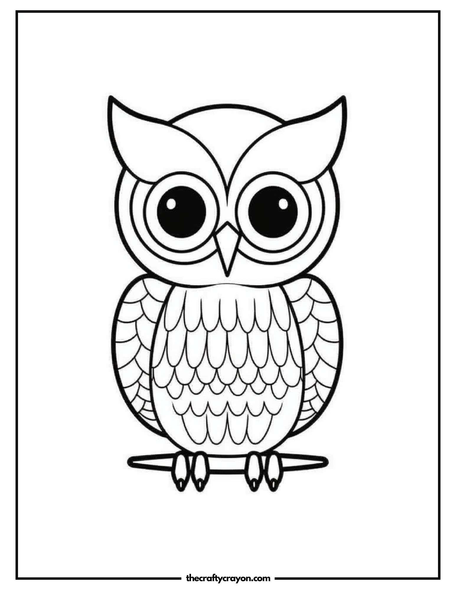 Adorable Cartoon Owl