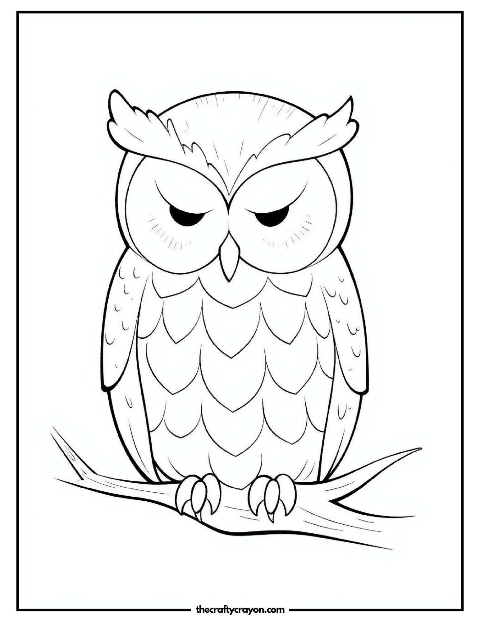 Artistic Owl Creation