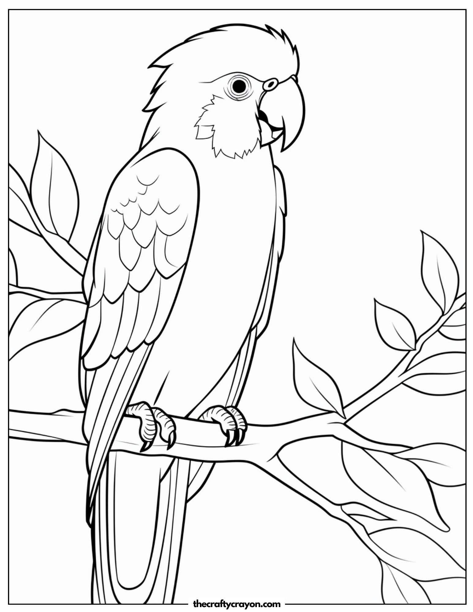 Artistic Parrot Sketch