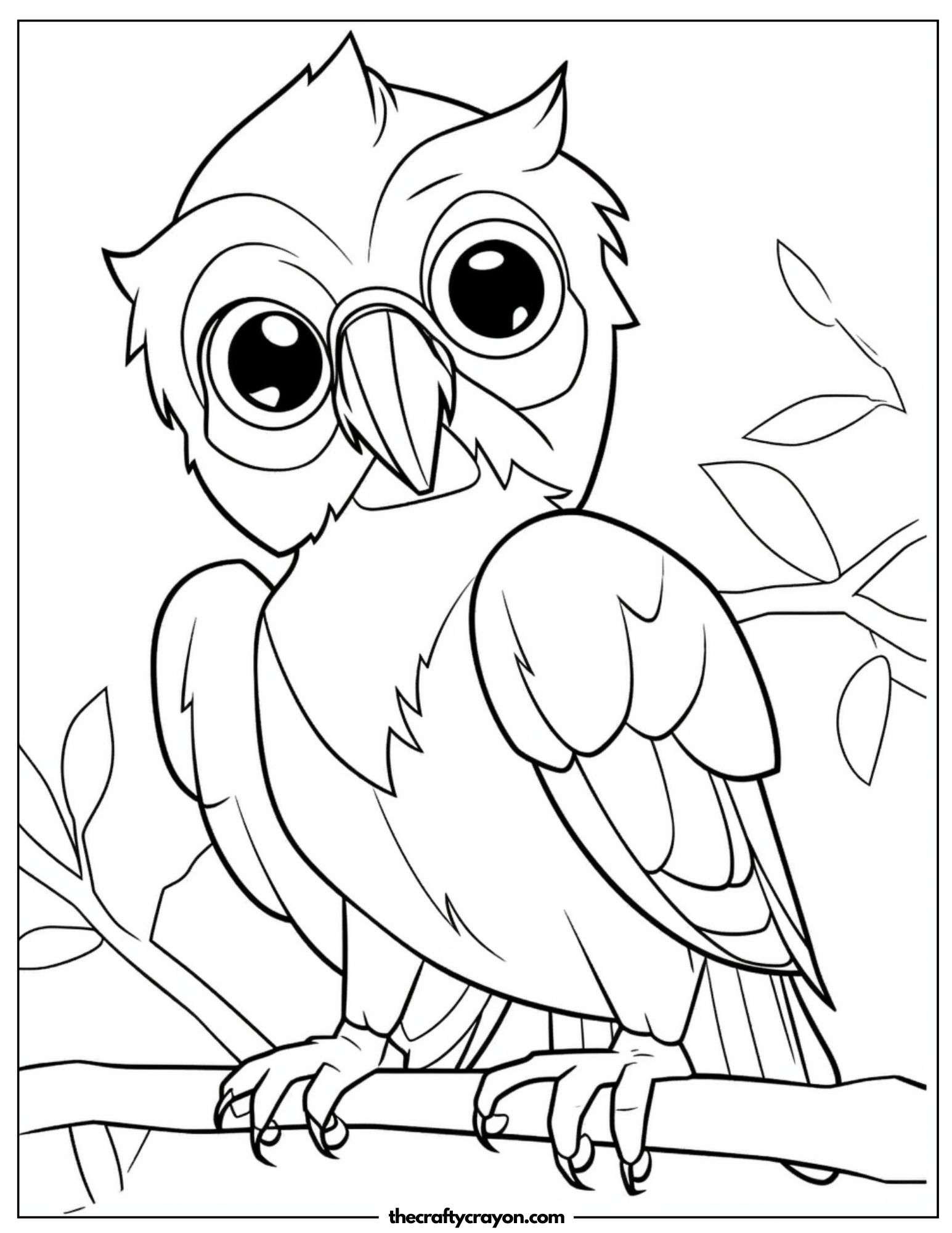 Baby Parrot Perched