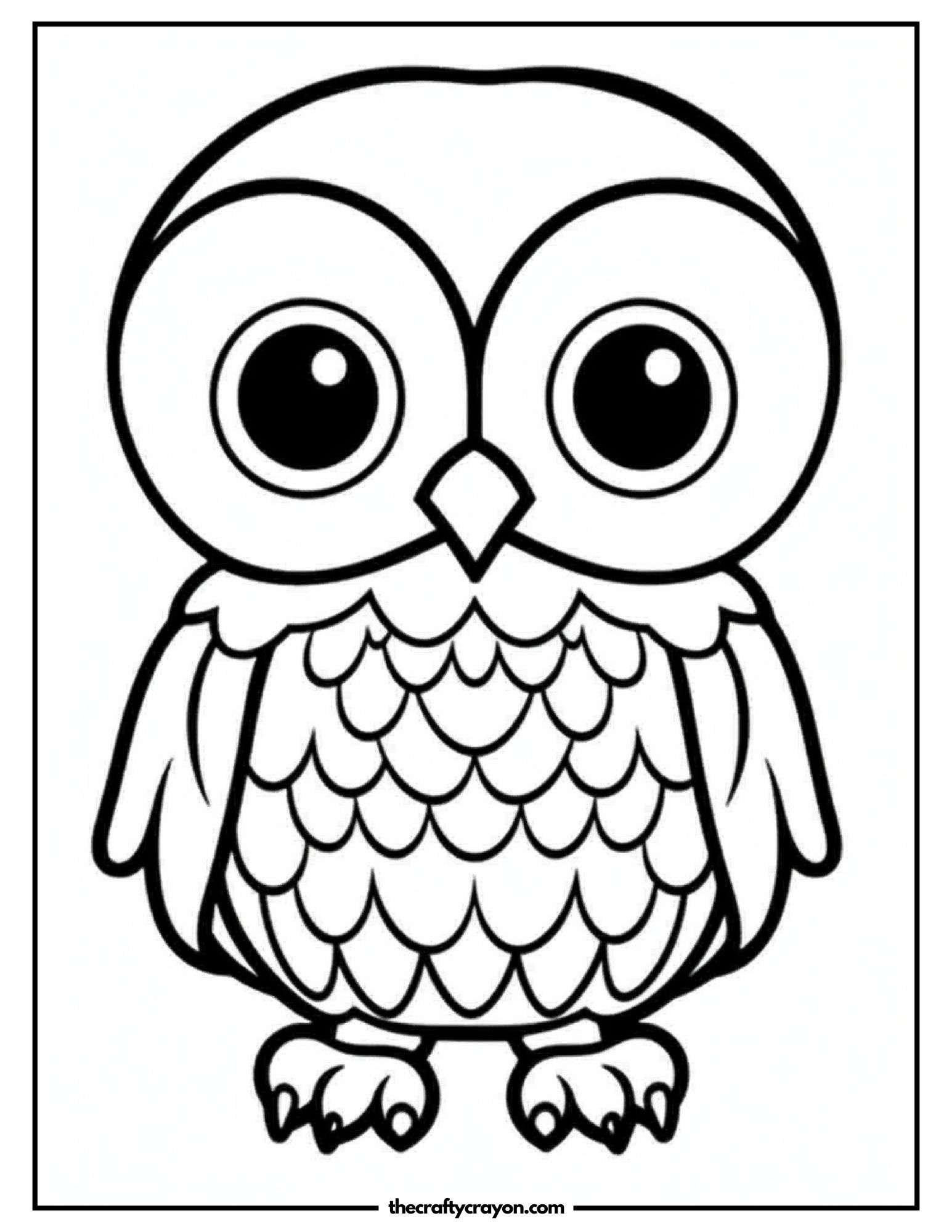 Beautiful Owl Sketch
