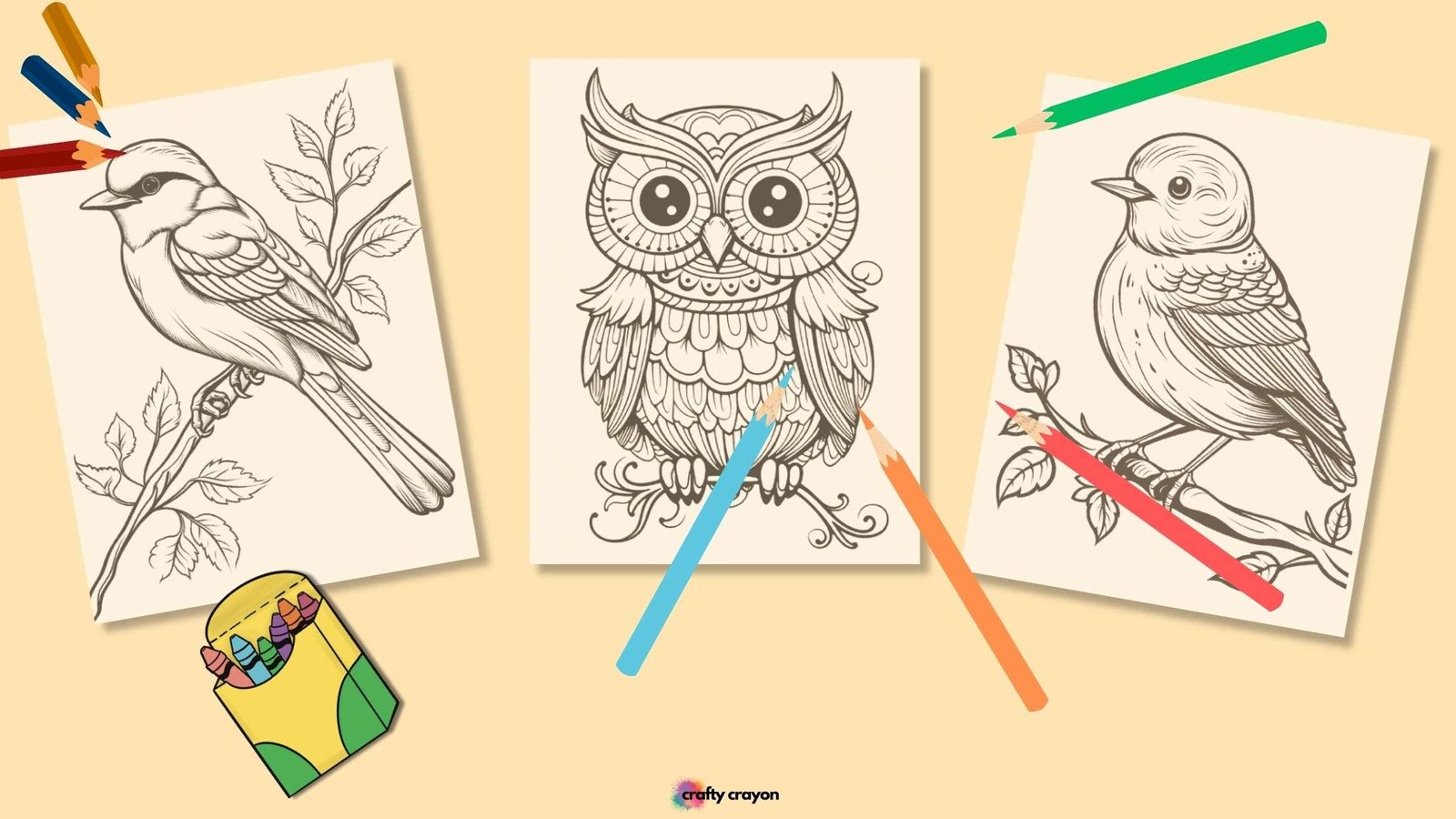 Bird Coloring Pages