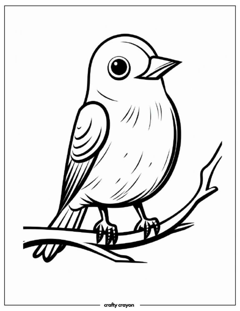 20 Beautiful Bird Coloring Pages For Kids And Adults (Free PDF Printables)