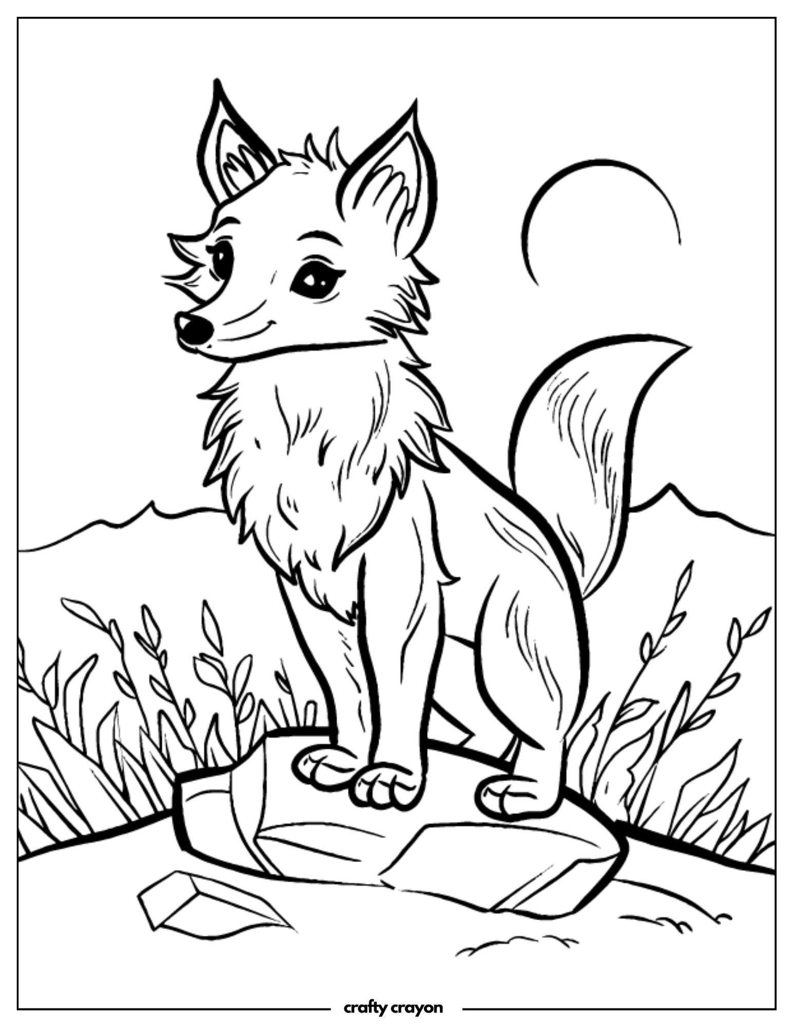 Curious Fox On A Rock