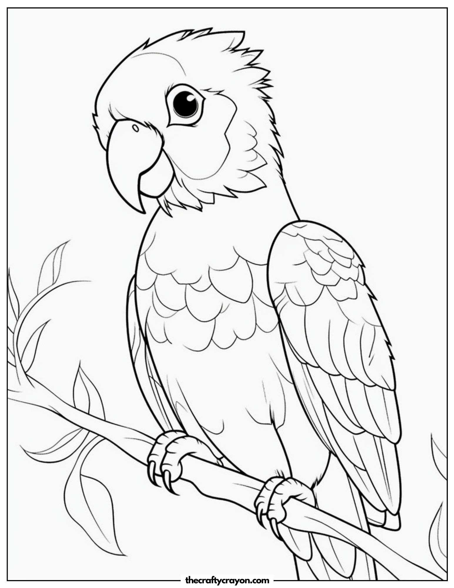 Curious Parrot Illustration