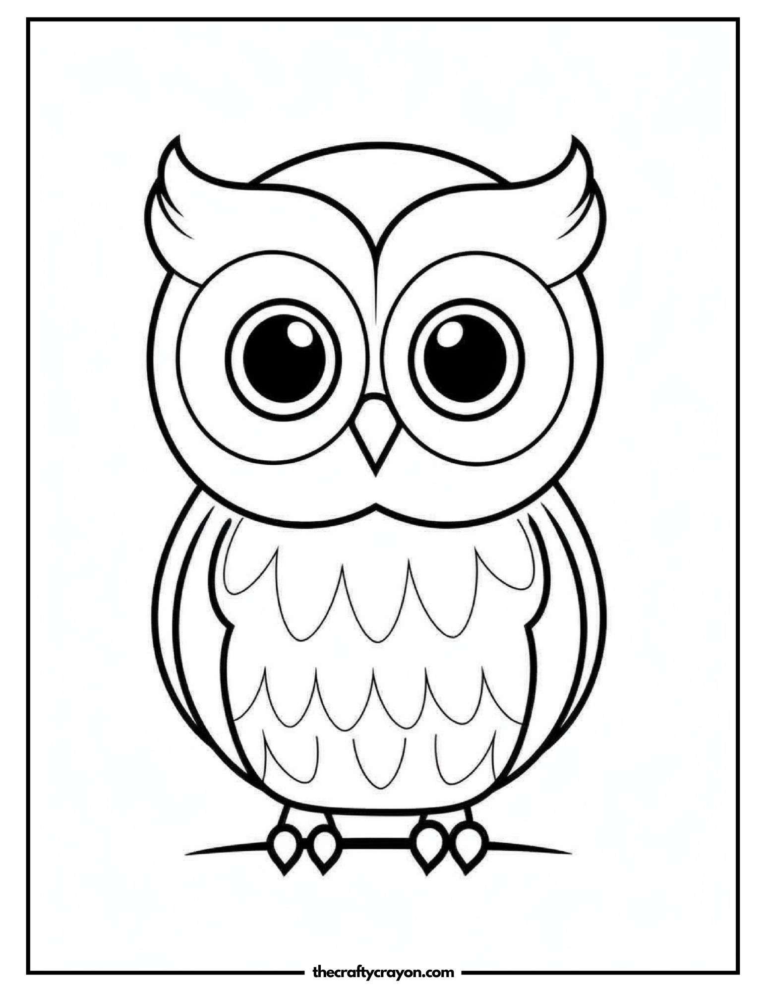 Detailed Owl With Feathers