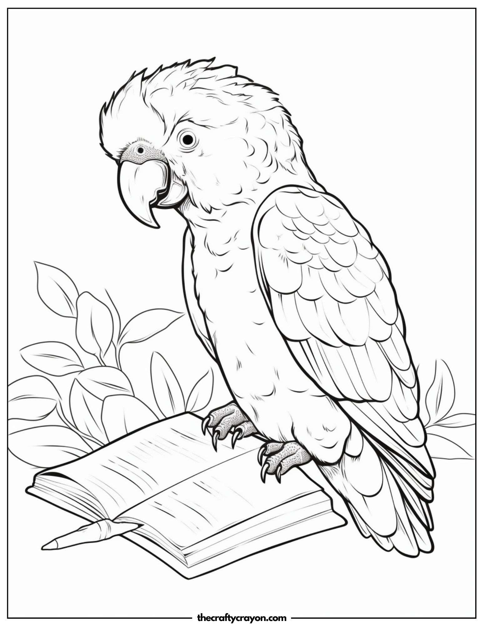 Detailed Parrot Artwork