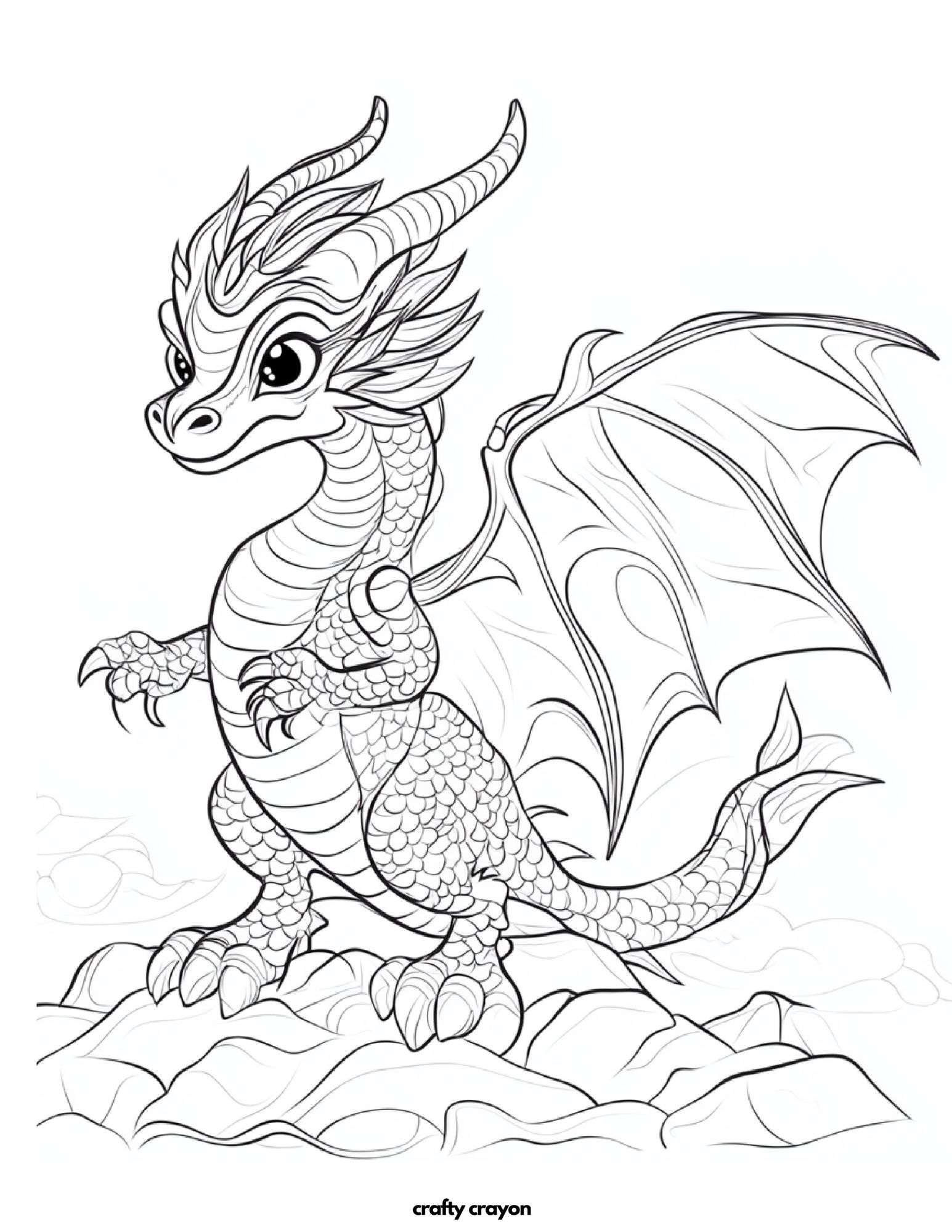 Fierce Dragon On Rocks