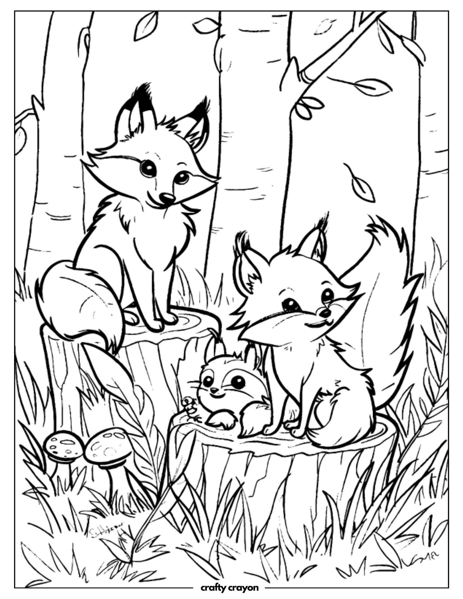 Fox Family In The Woods
