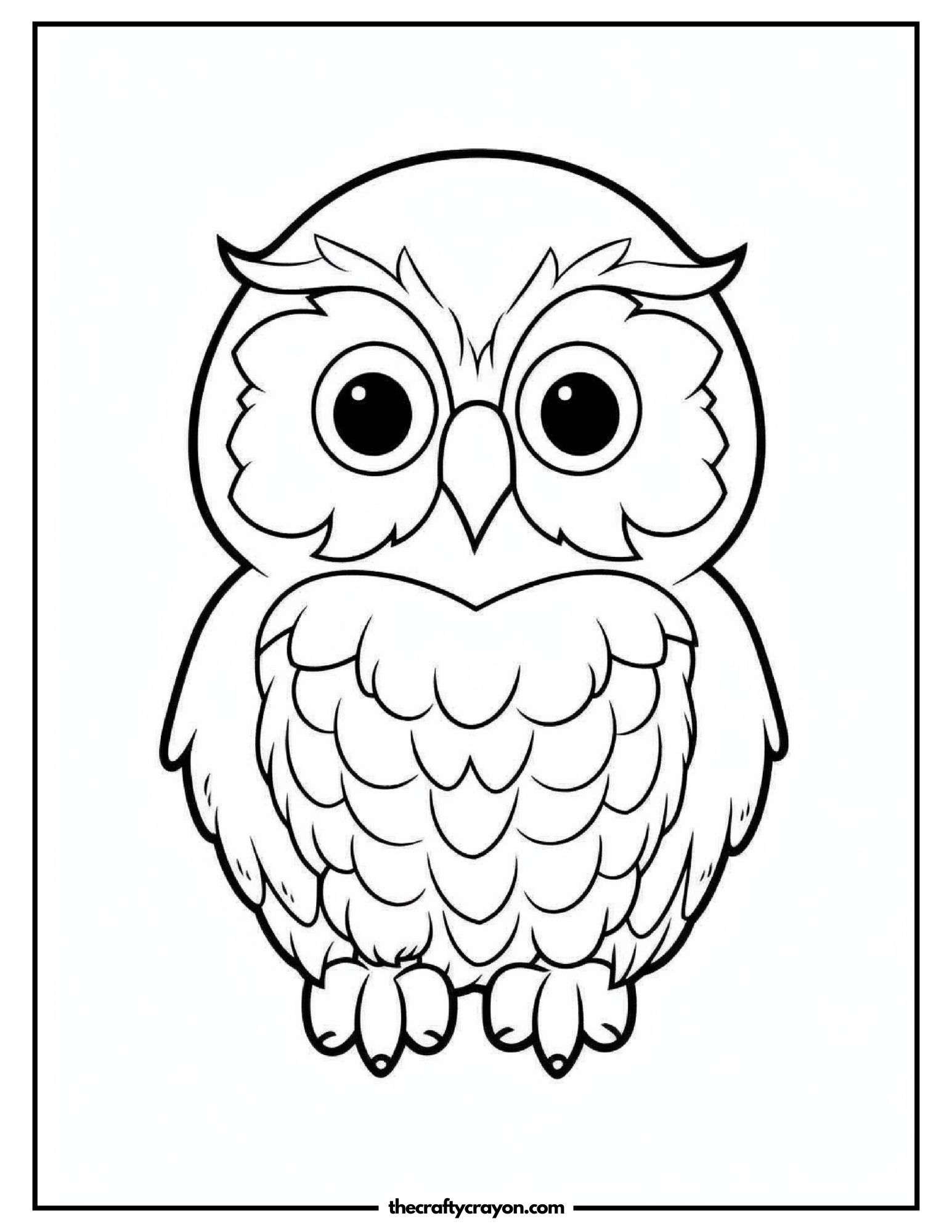 Fun Owl Coloring Design