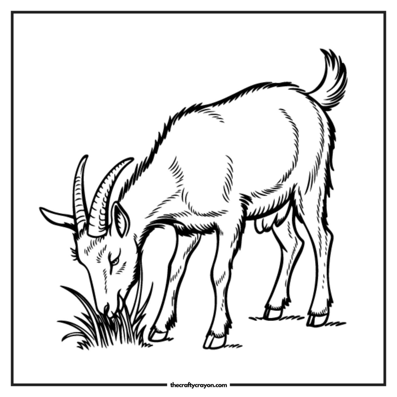 20 Fun Farm Animal Coloring Pages (Free PDF Printables)