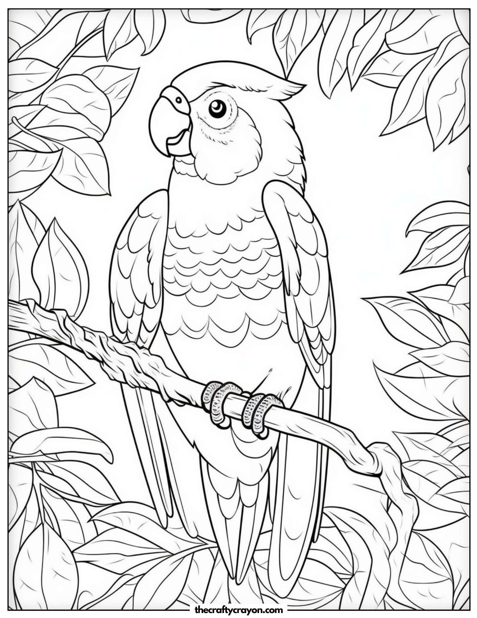 Jungle Parrot Coloring Page