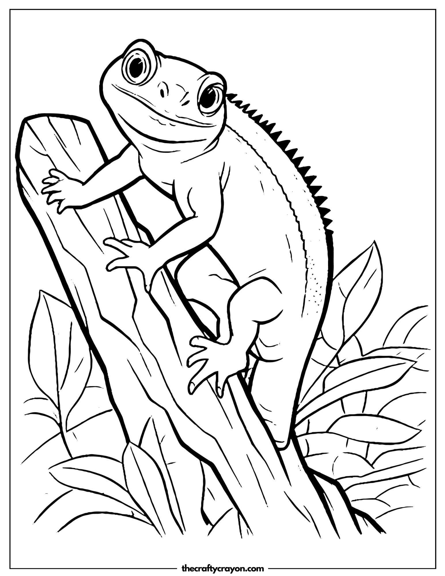 Lizard Climbing Tree