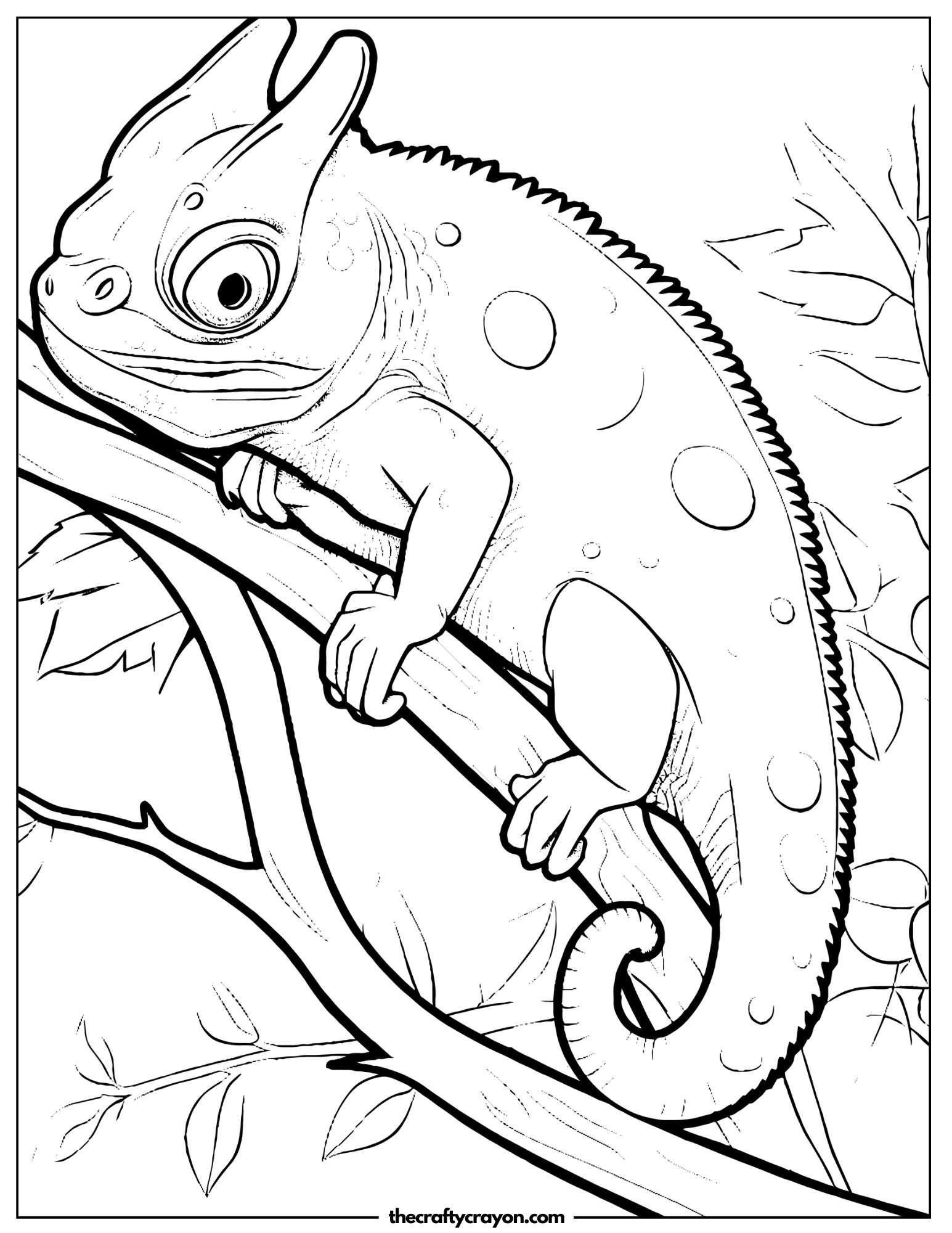 Lizard Exploring Forest