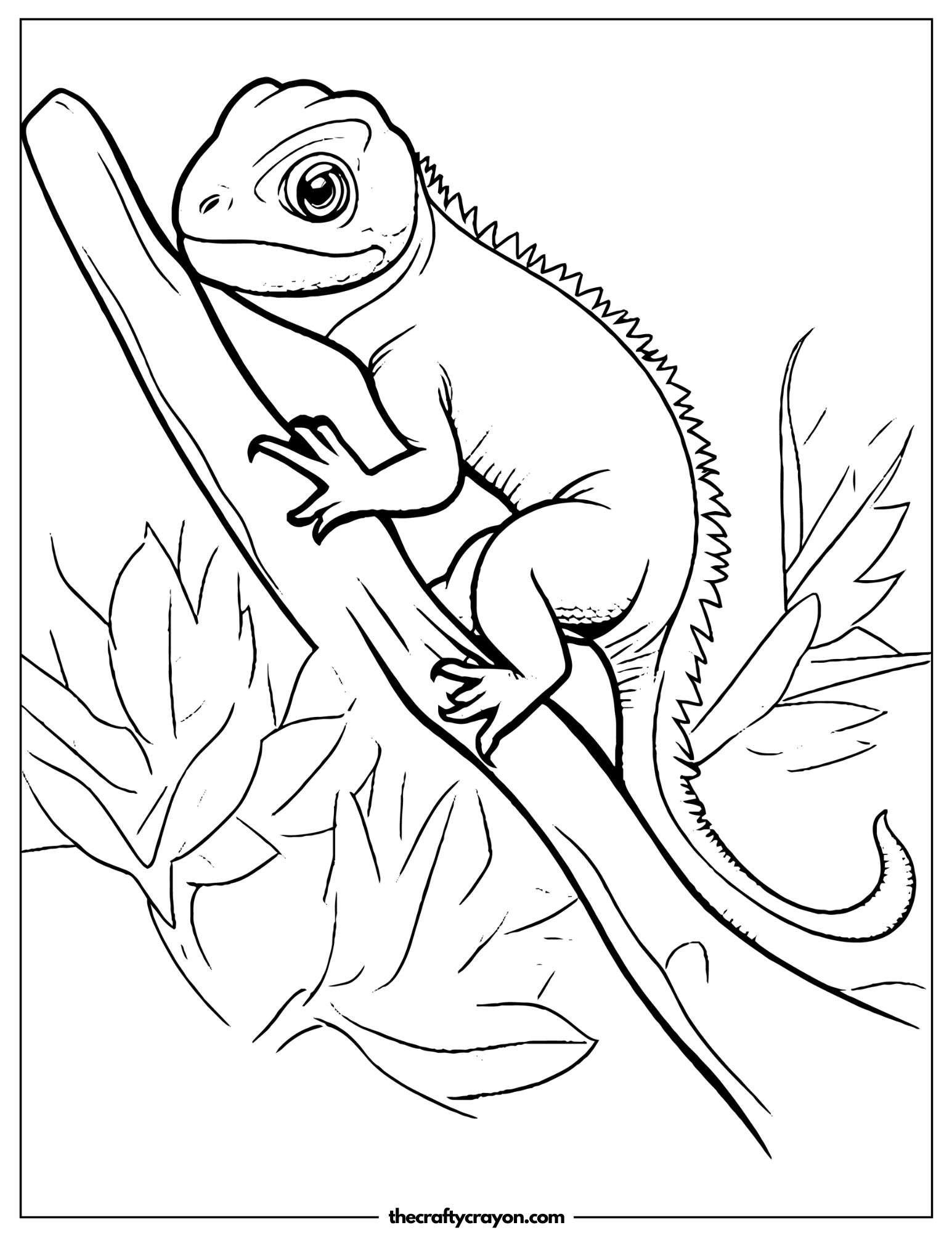 Lizard On Tree Branch