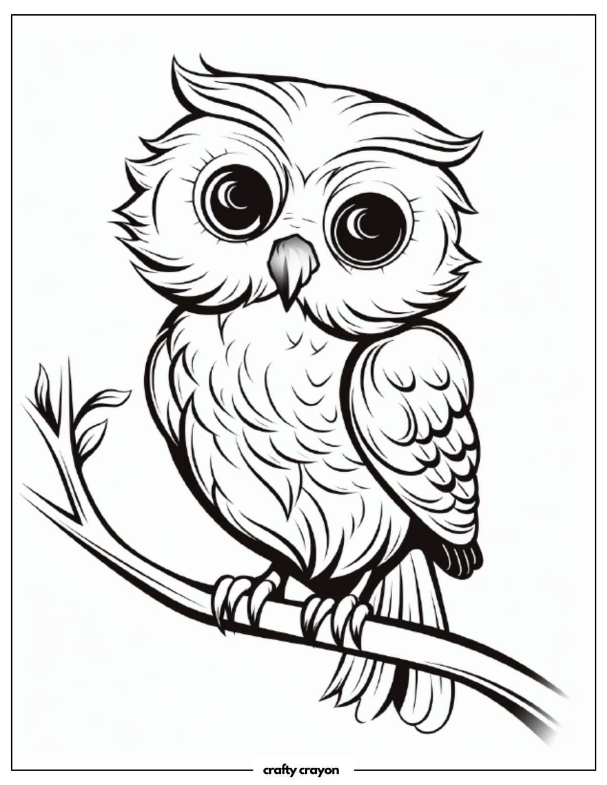 20 Beautiful Bird Coloring Pages For Kids And Adults (Free PDF Printables)
