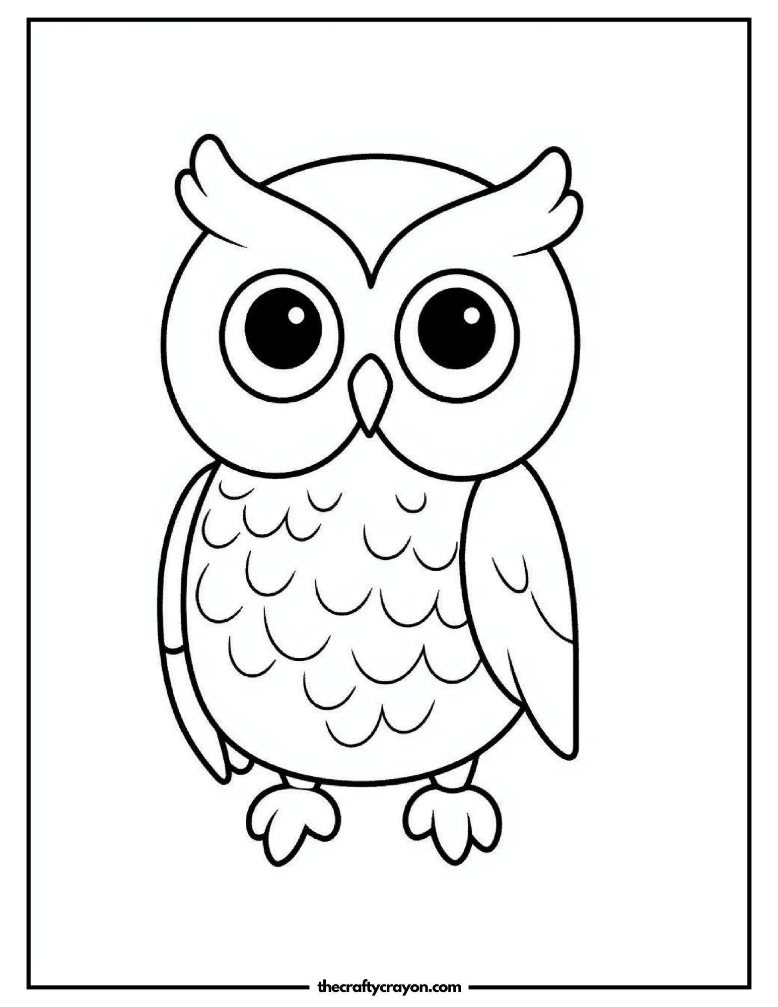 Owl Standing Straight