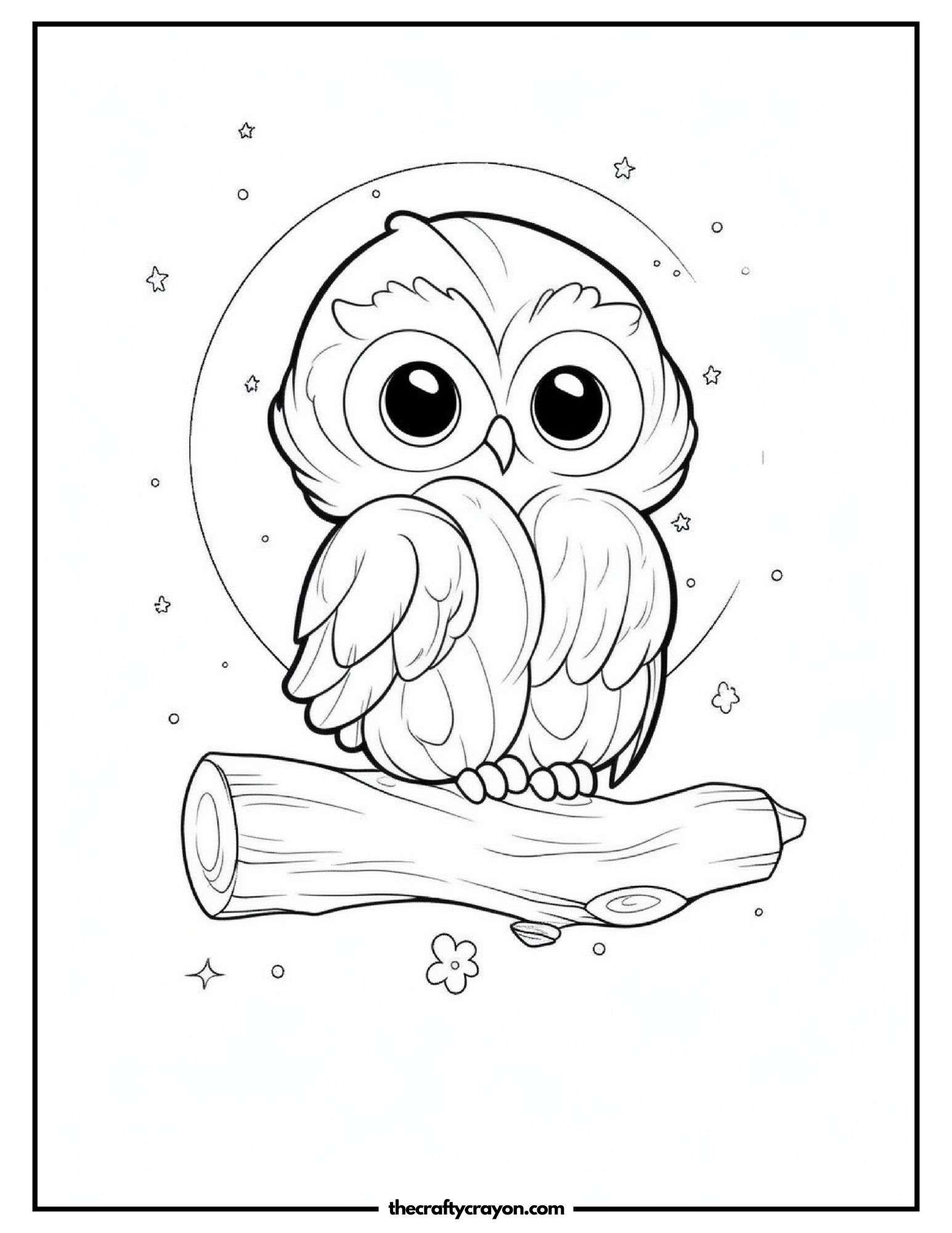 Owl With Big Eyes