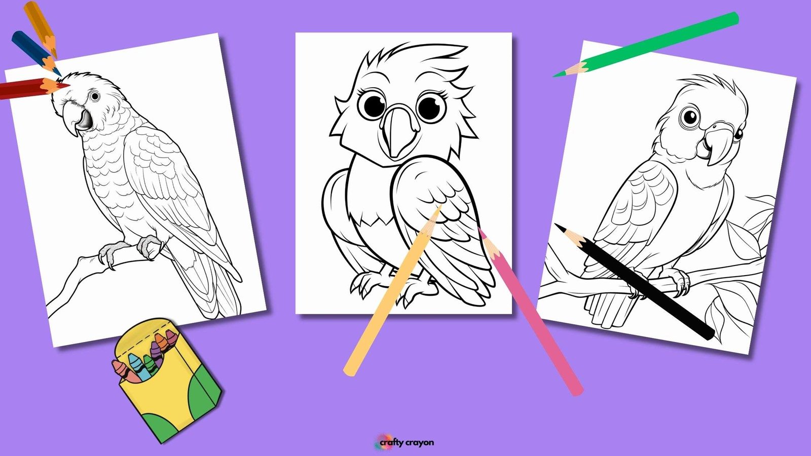 Parrot Coloring Pages