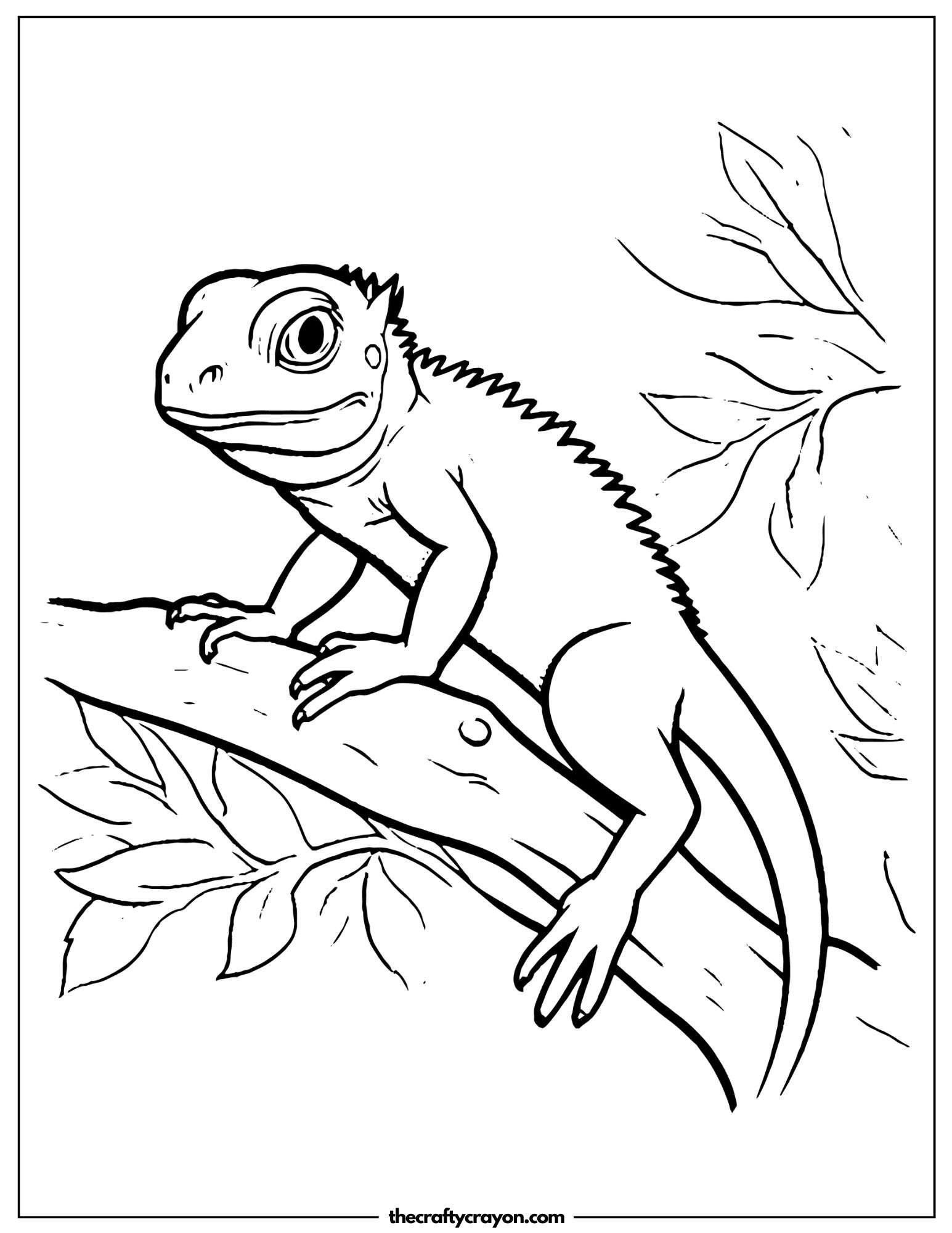 Perched Lizard Watching