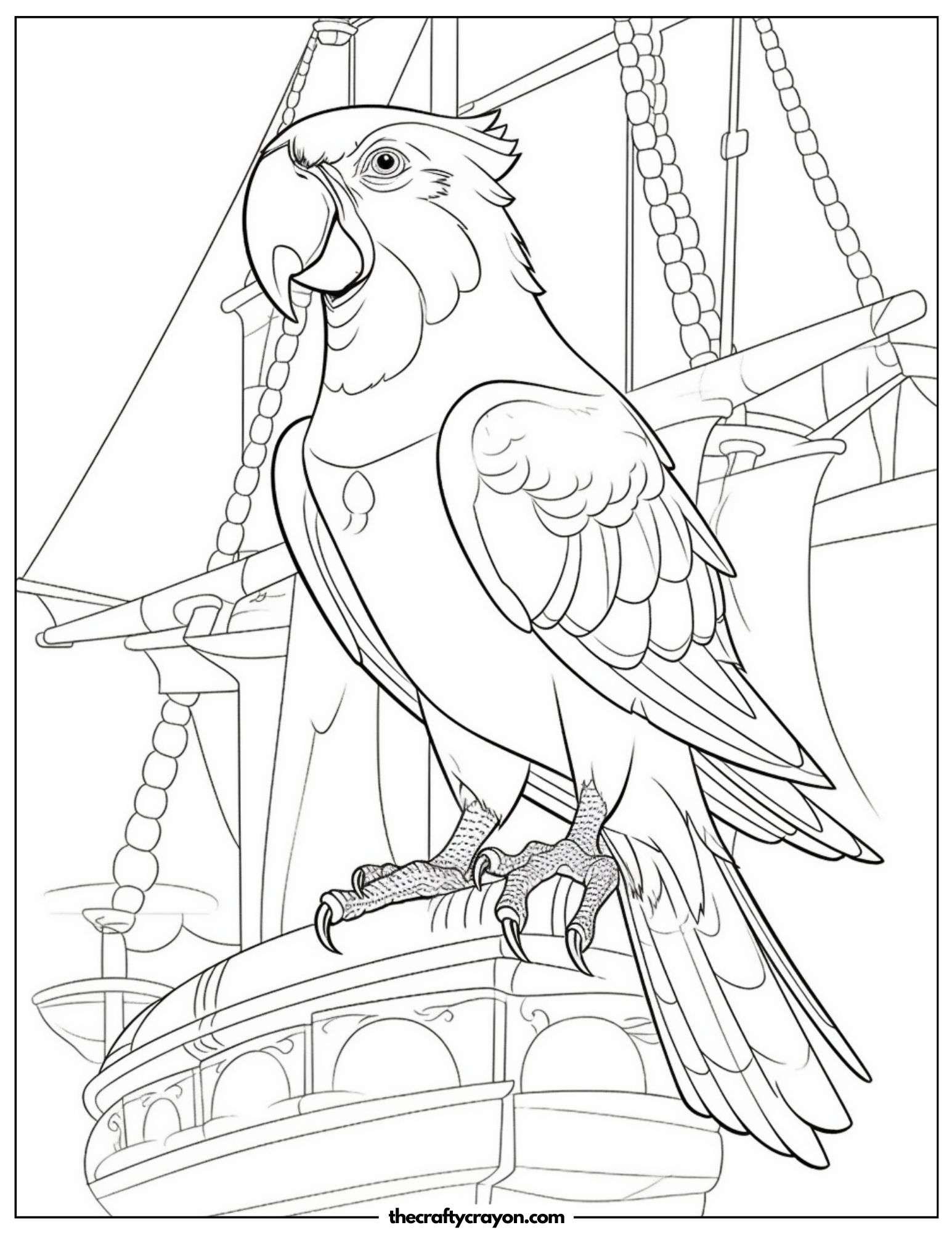 Pirate Parrot Scene