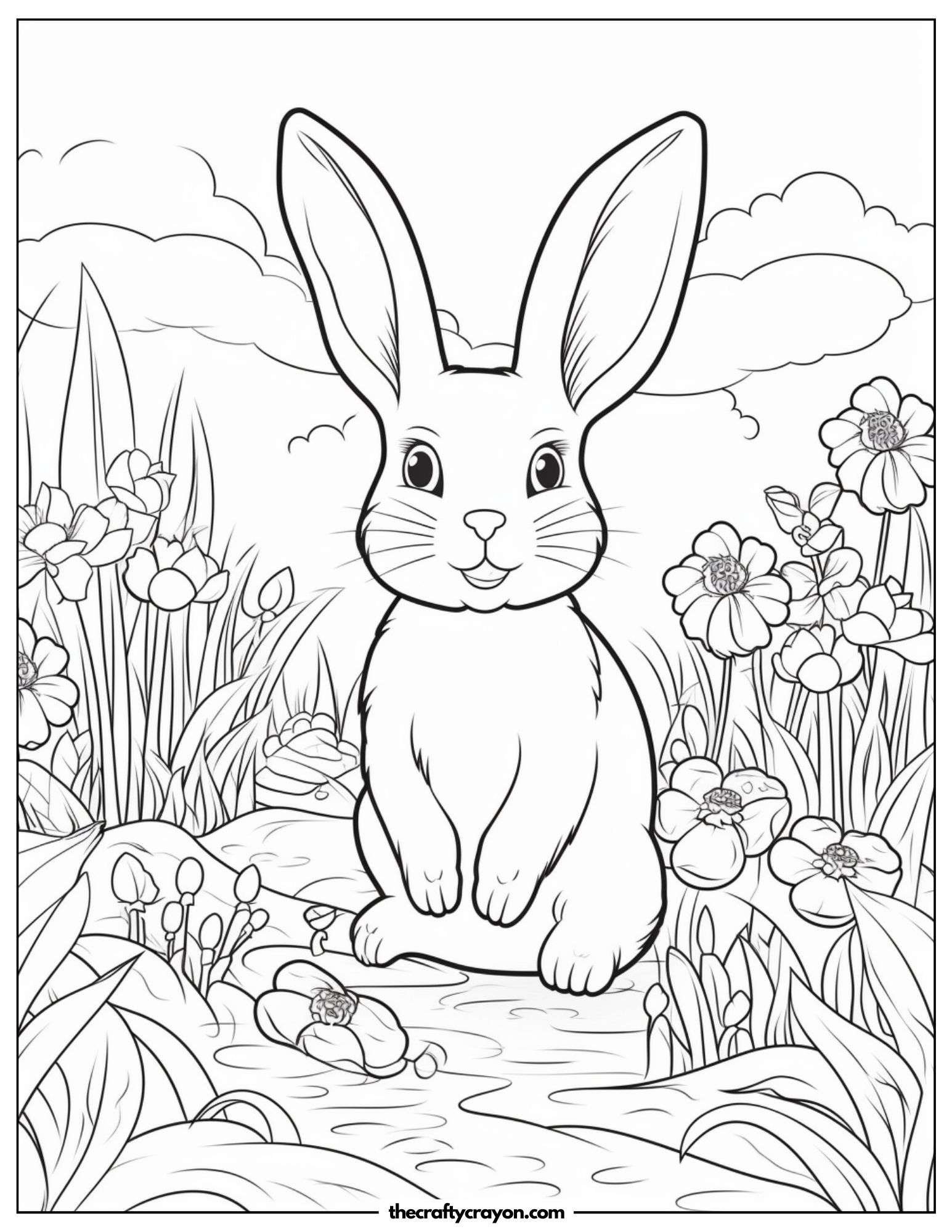 Rabbit By A Pond