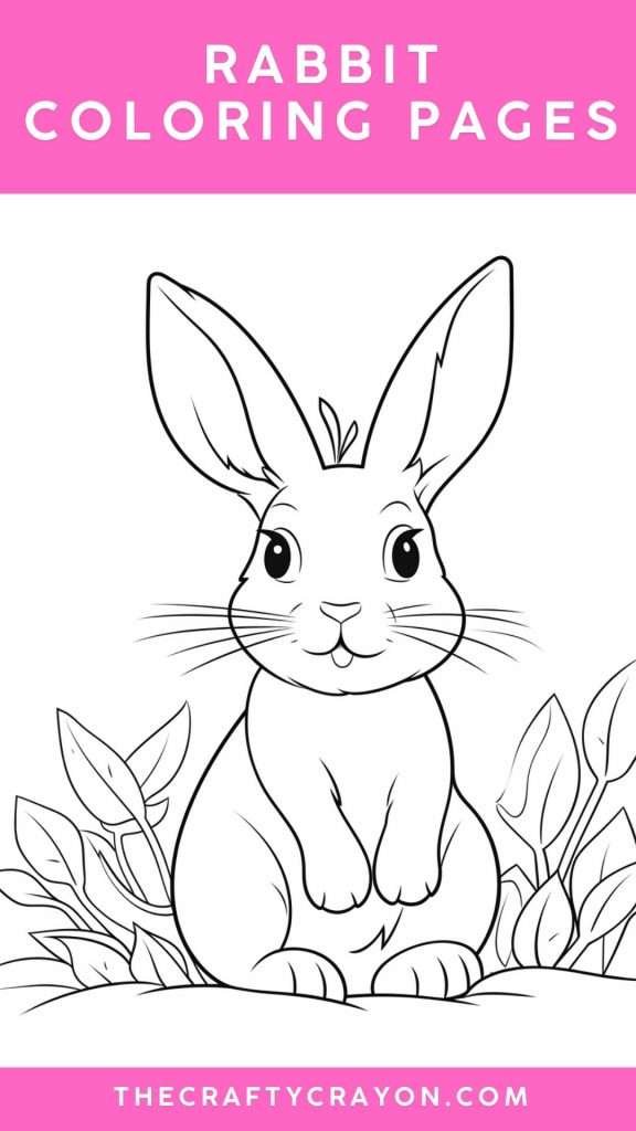 Rabbit Color Pages Rabbit Color Pages