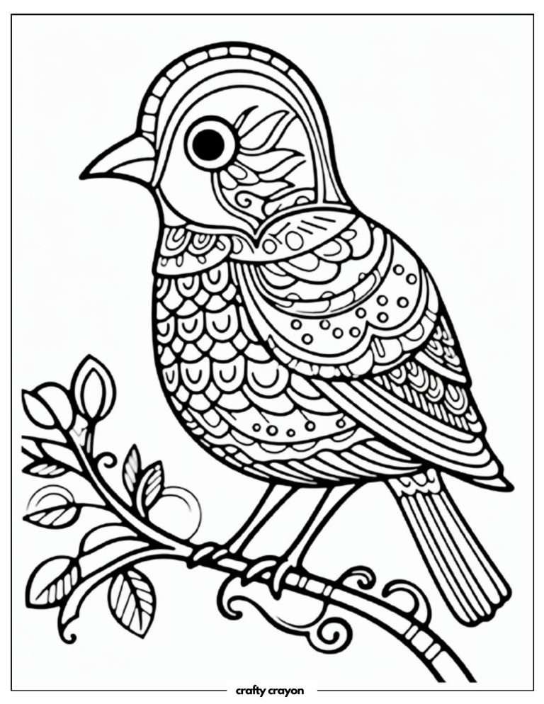 20 Beautiful Bird Coloring Pages For Kids And Adults (Free PDF Printables)
