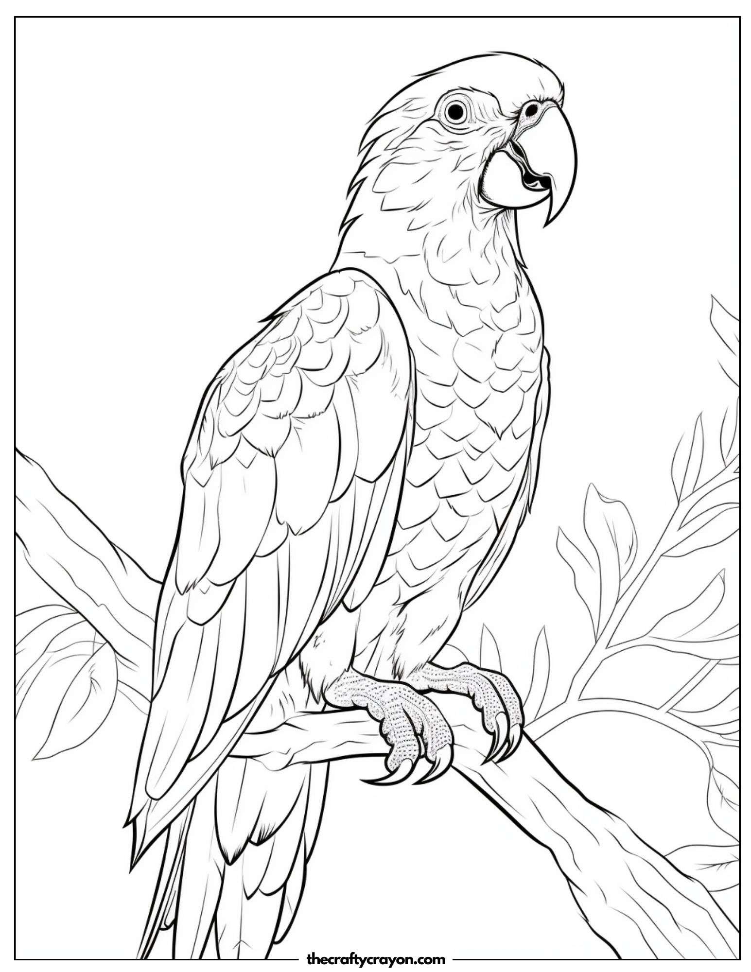 Realistic Parrot Portrait