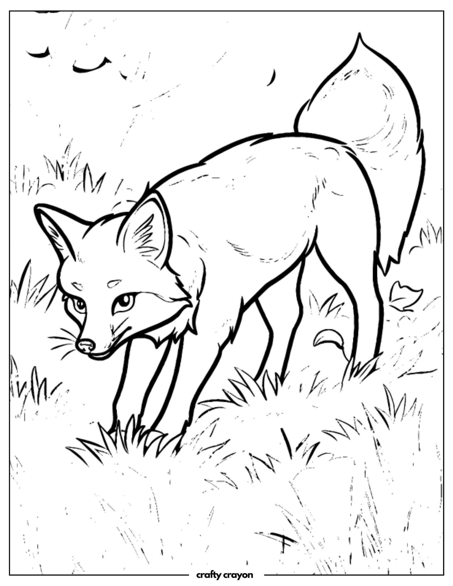 Sneaky Fox In The Grass