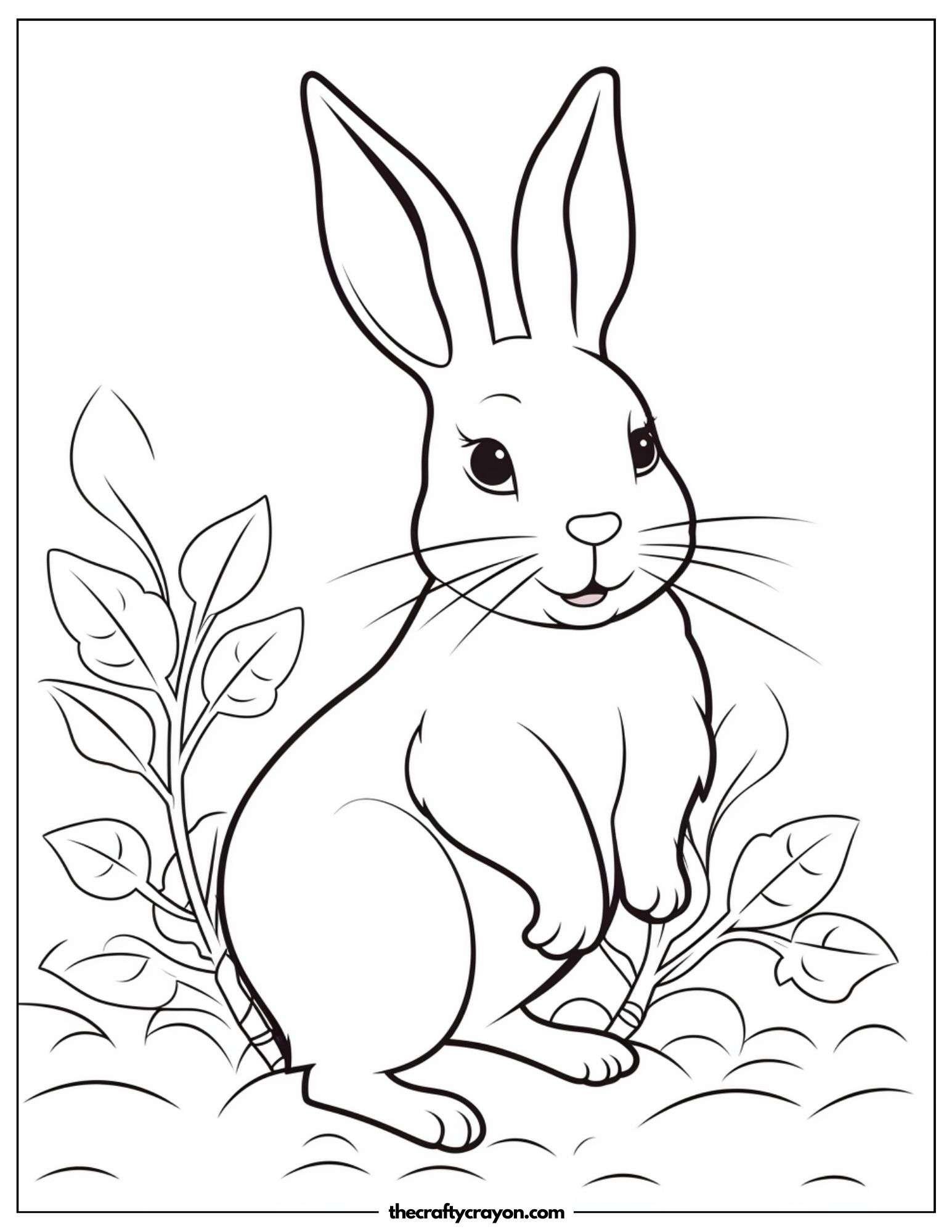 Standing Rabbit In Field