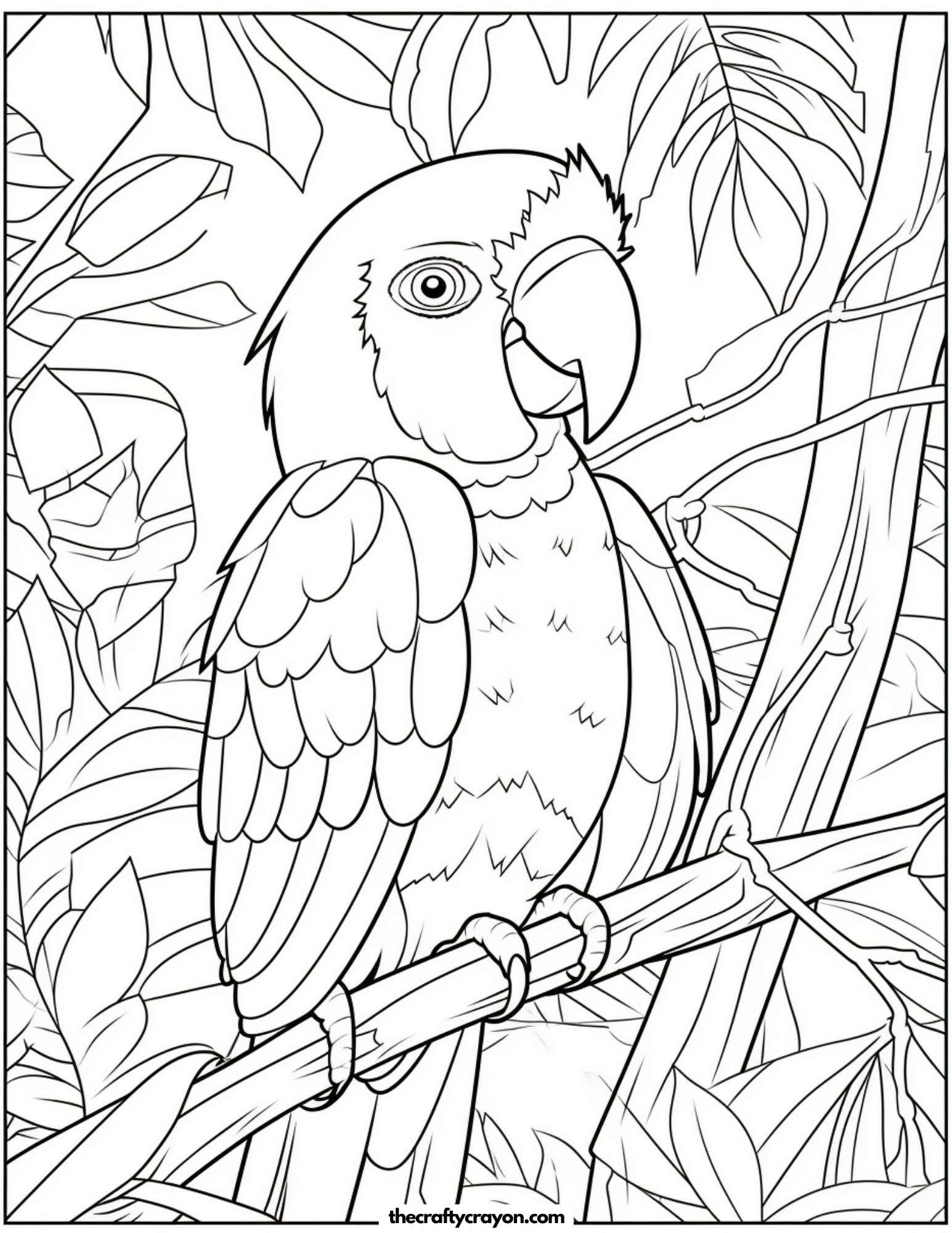 Tropical Parrot Illustration