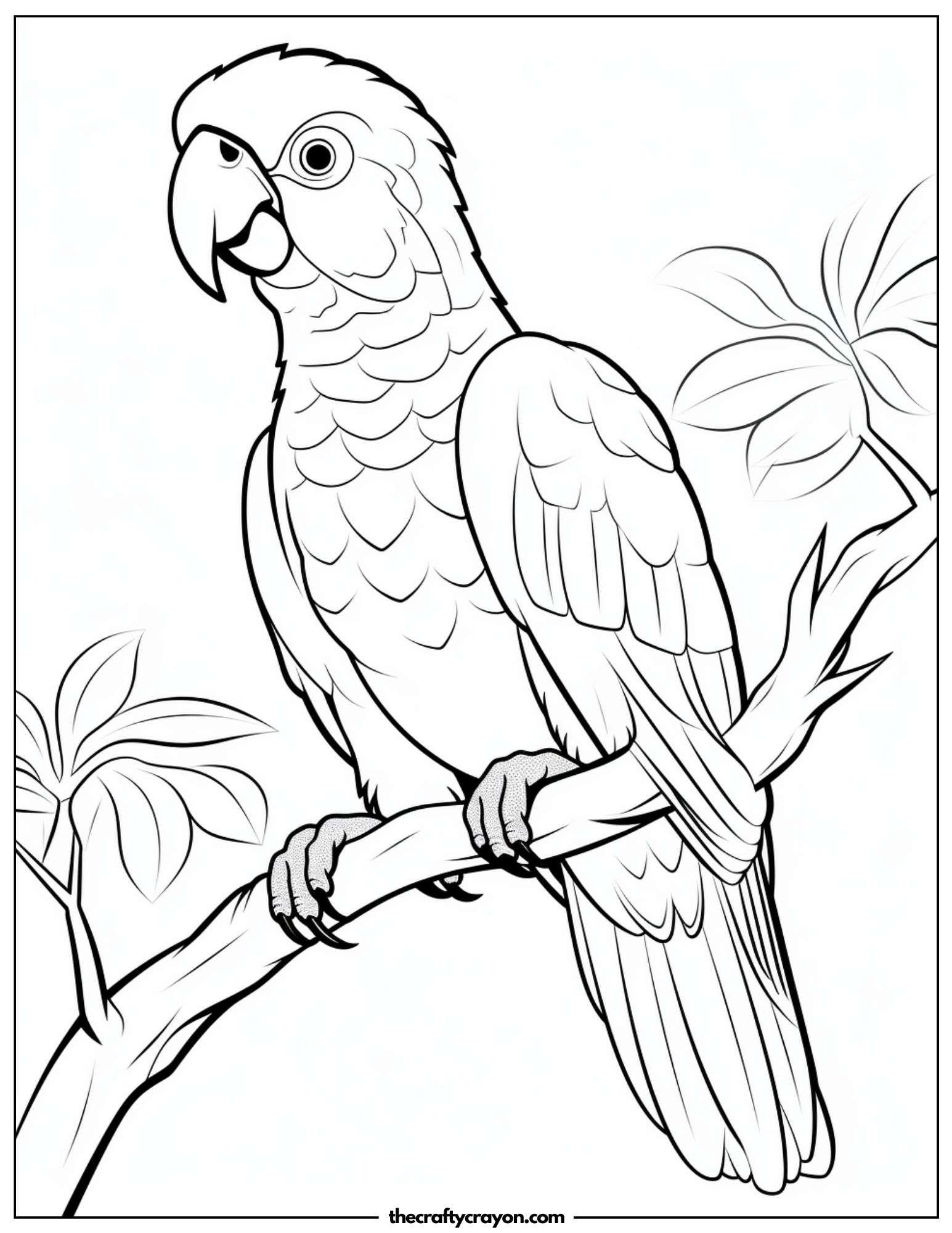 Unique Parrot Concept