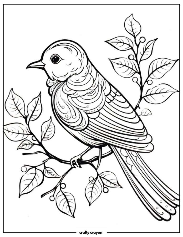 20 Beautiful Bird Coloring Pages For Kids And Adults (Free PDF Printables)