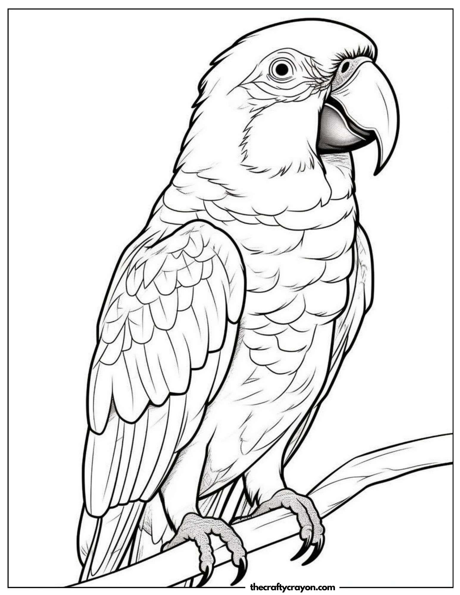 Vibrant Parrot Outline