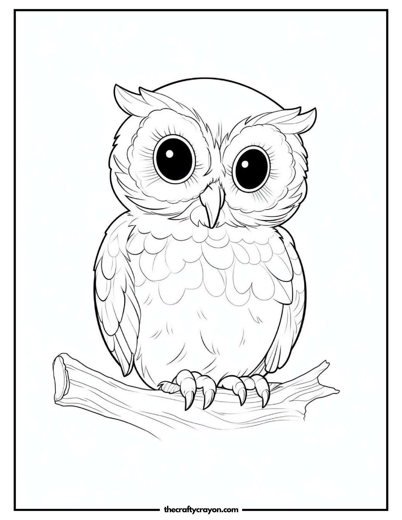 Wise Owl On A Branch