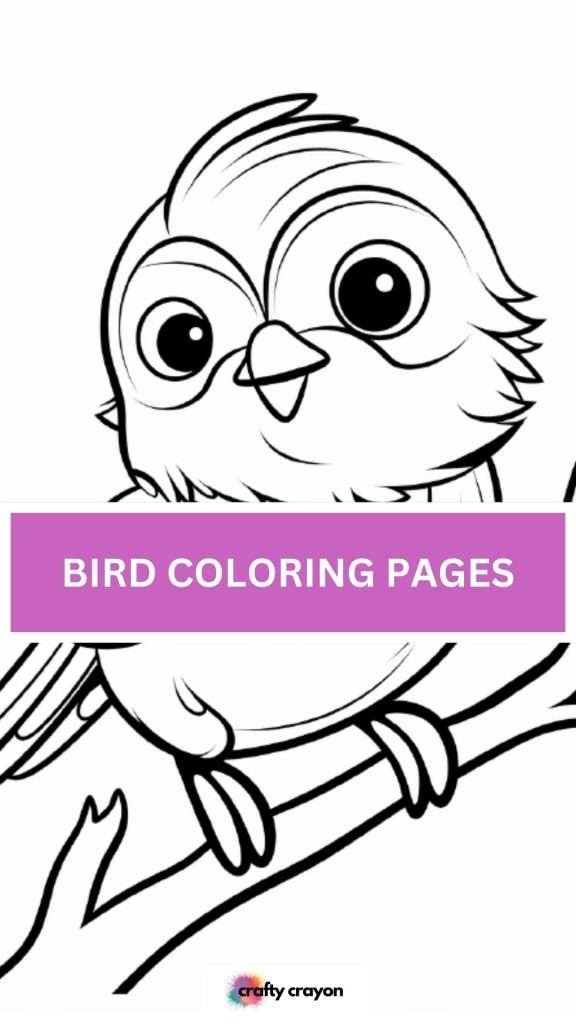 bird coloring page bird coloring page