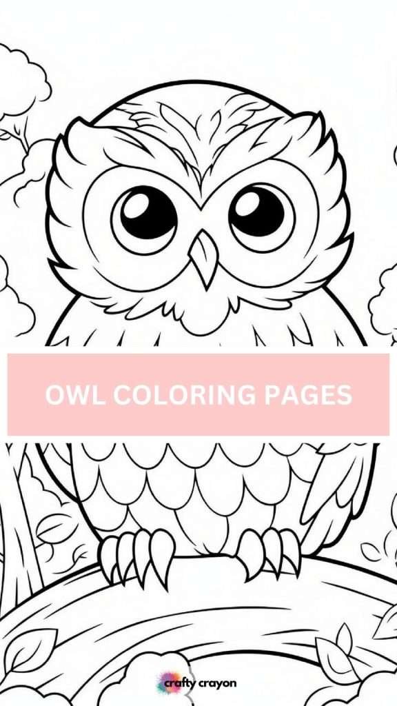 owl coloring page