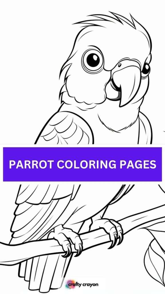 parrot coloring page parrot coloring page