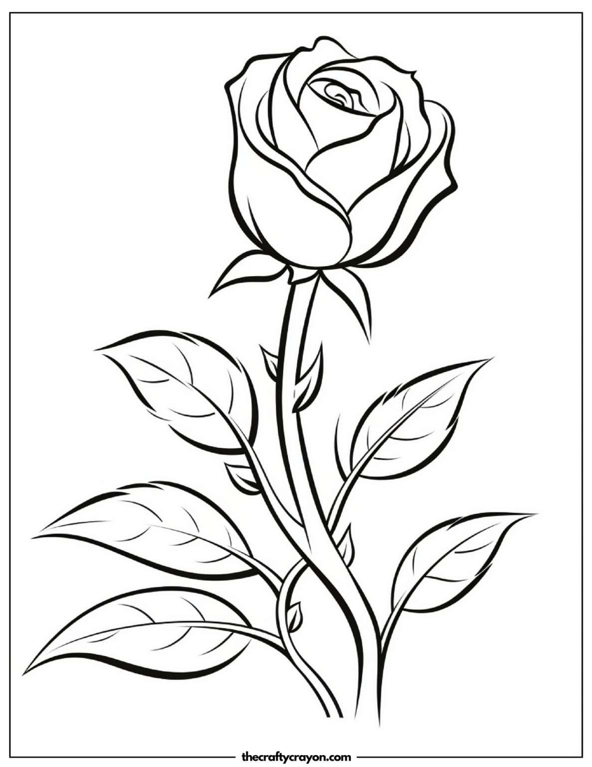 Roses Coloring Pages (Free Printable PDFs)