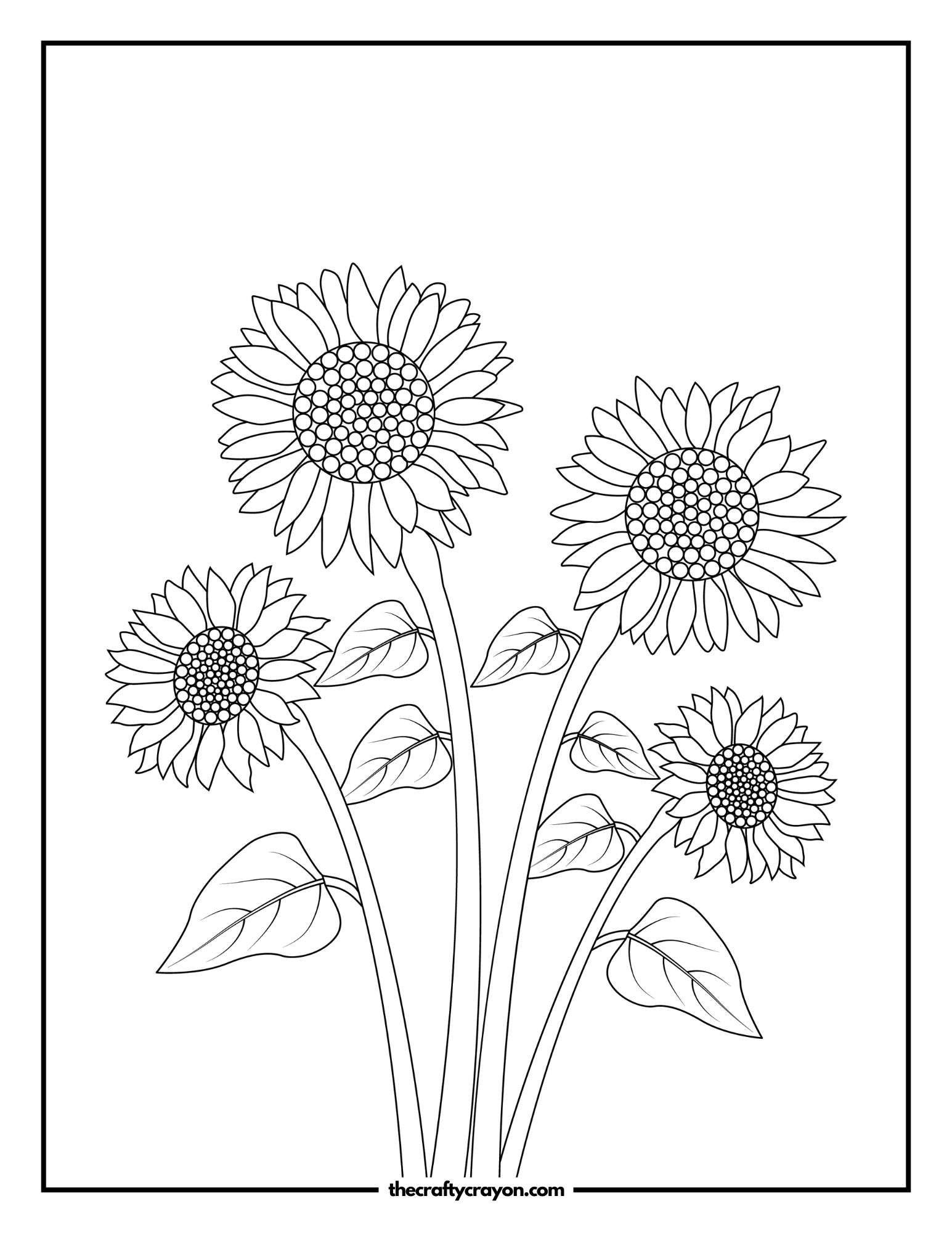 Artistic Sunflowers with Broad Leaves