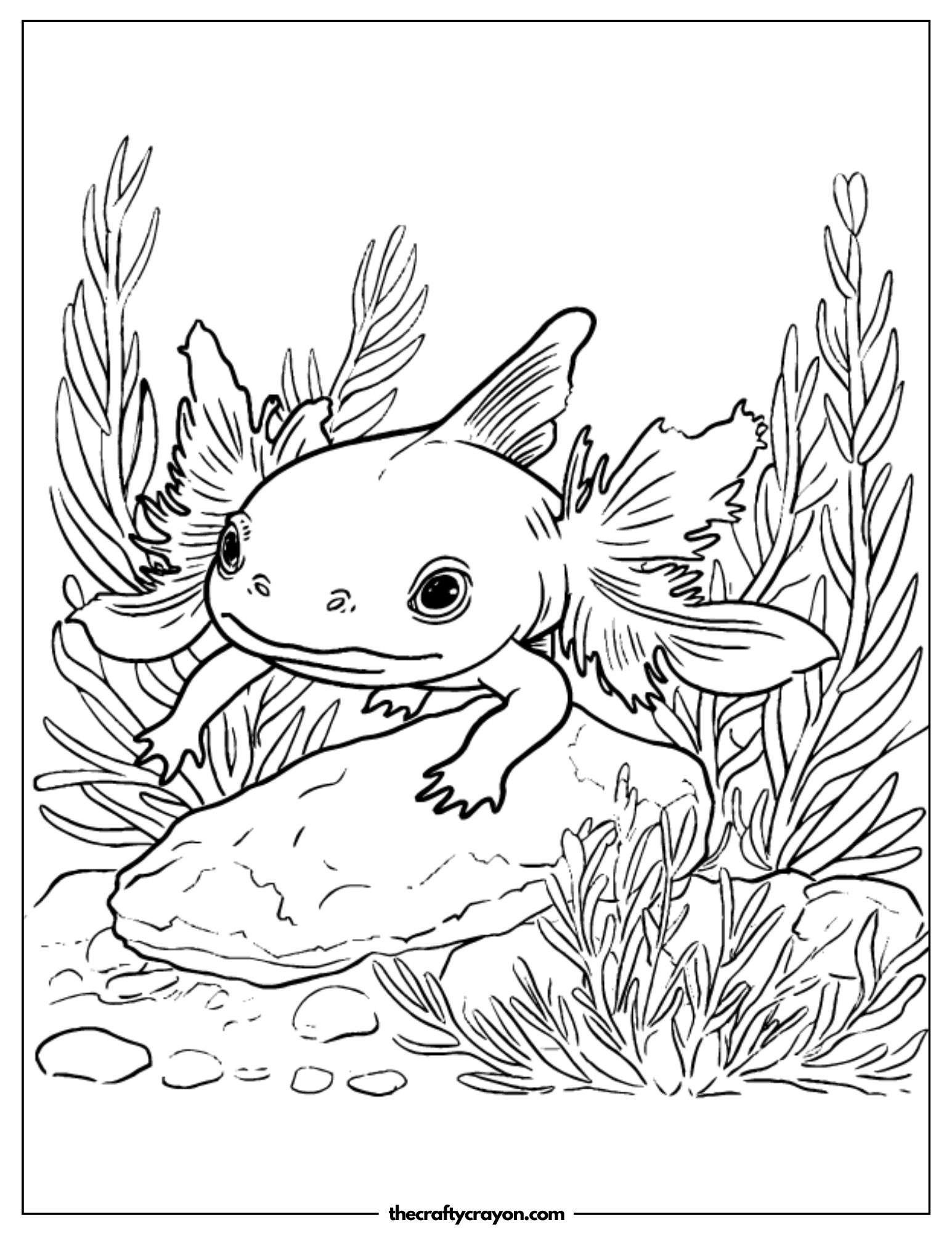 Axolotl and Aquarium Plants Coloring Page