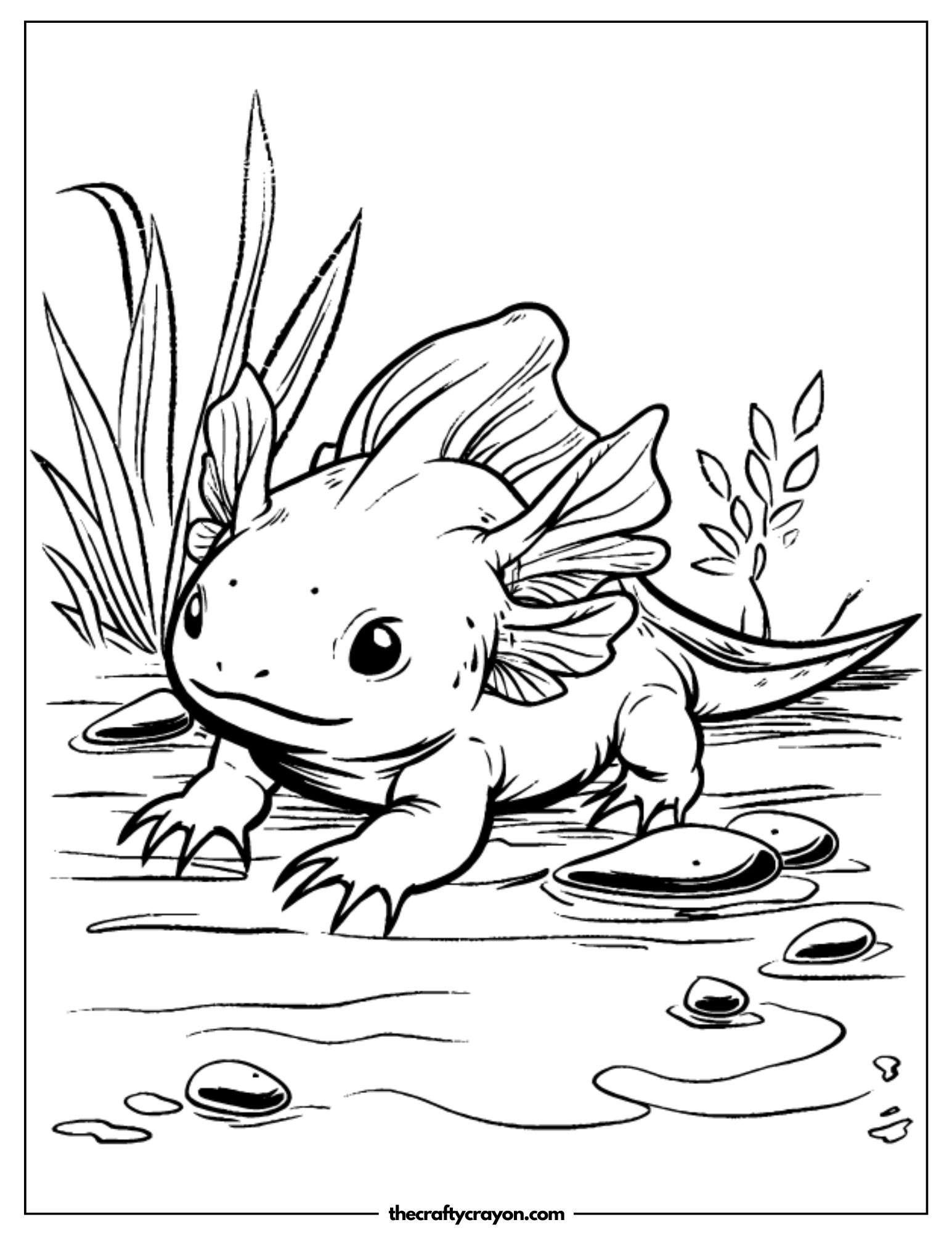 Axolotl in Garden Pond Coloring Page