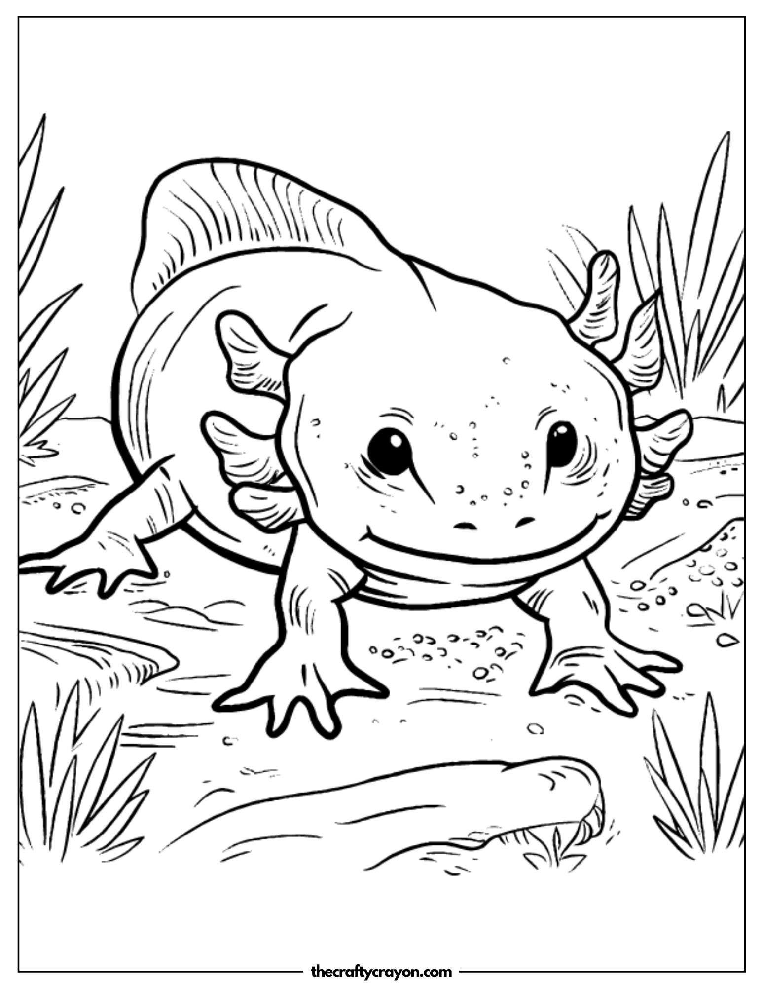 Axolotl in Sea Nature Coloring Page