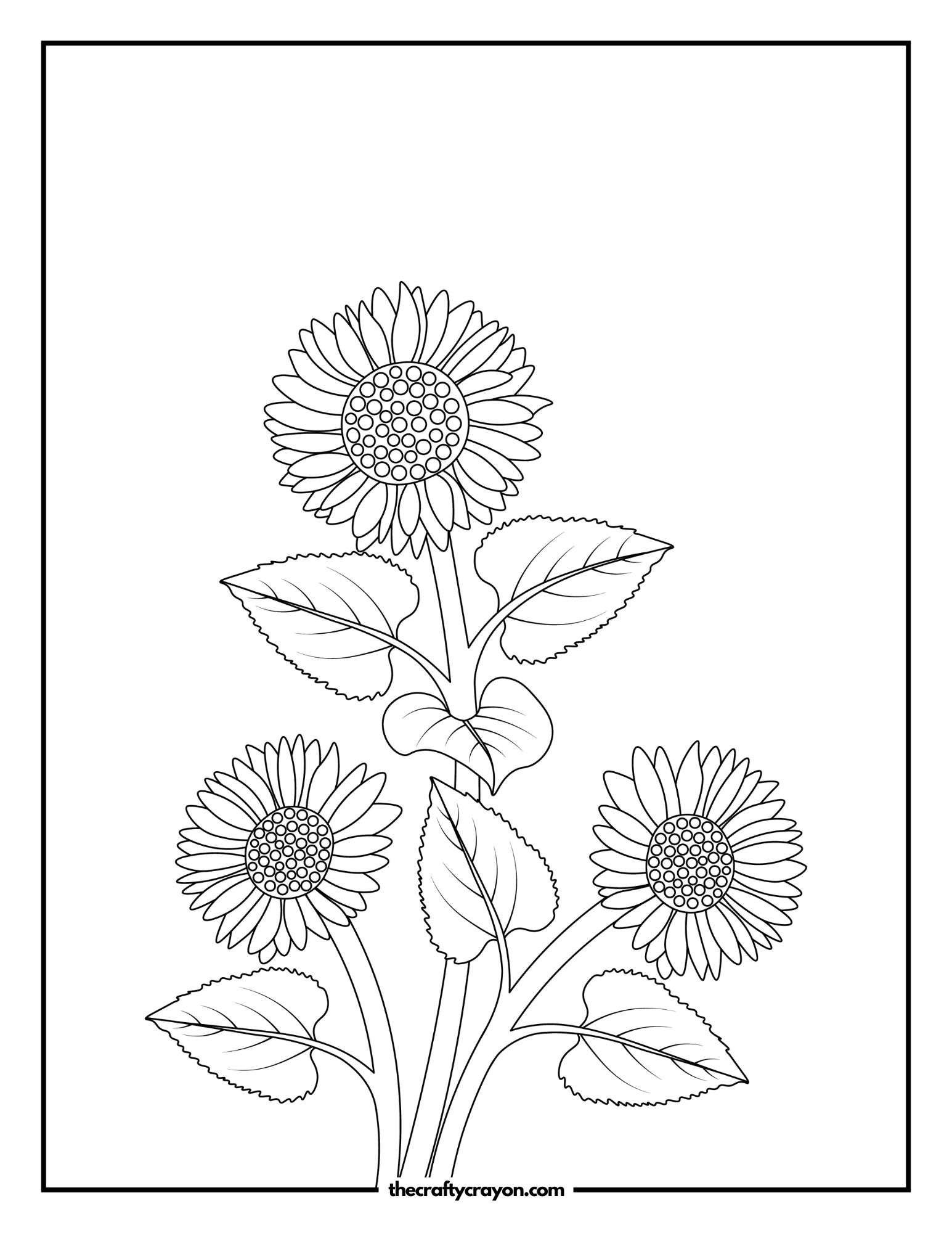 Bright Sunflowers Arranged with Leaves