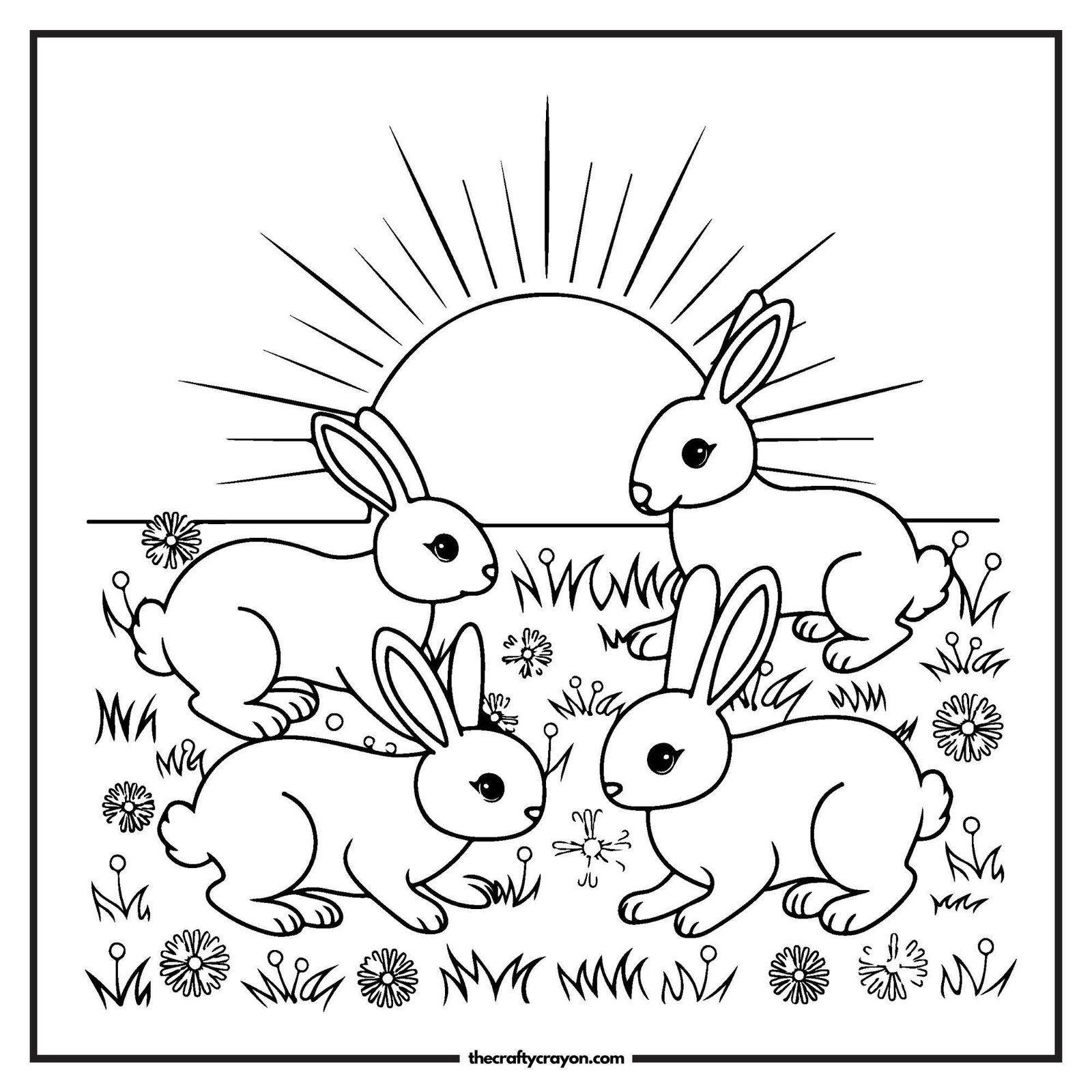 Bunnies Playing In The Sunset