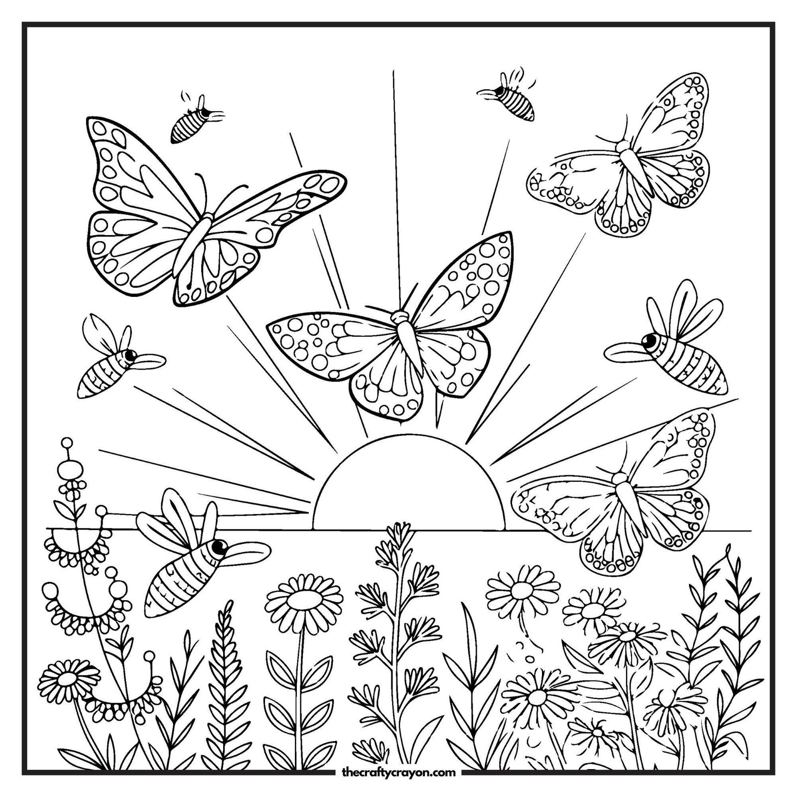 Butterflies And Bees Flying At Sunset