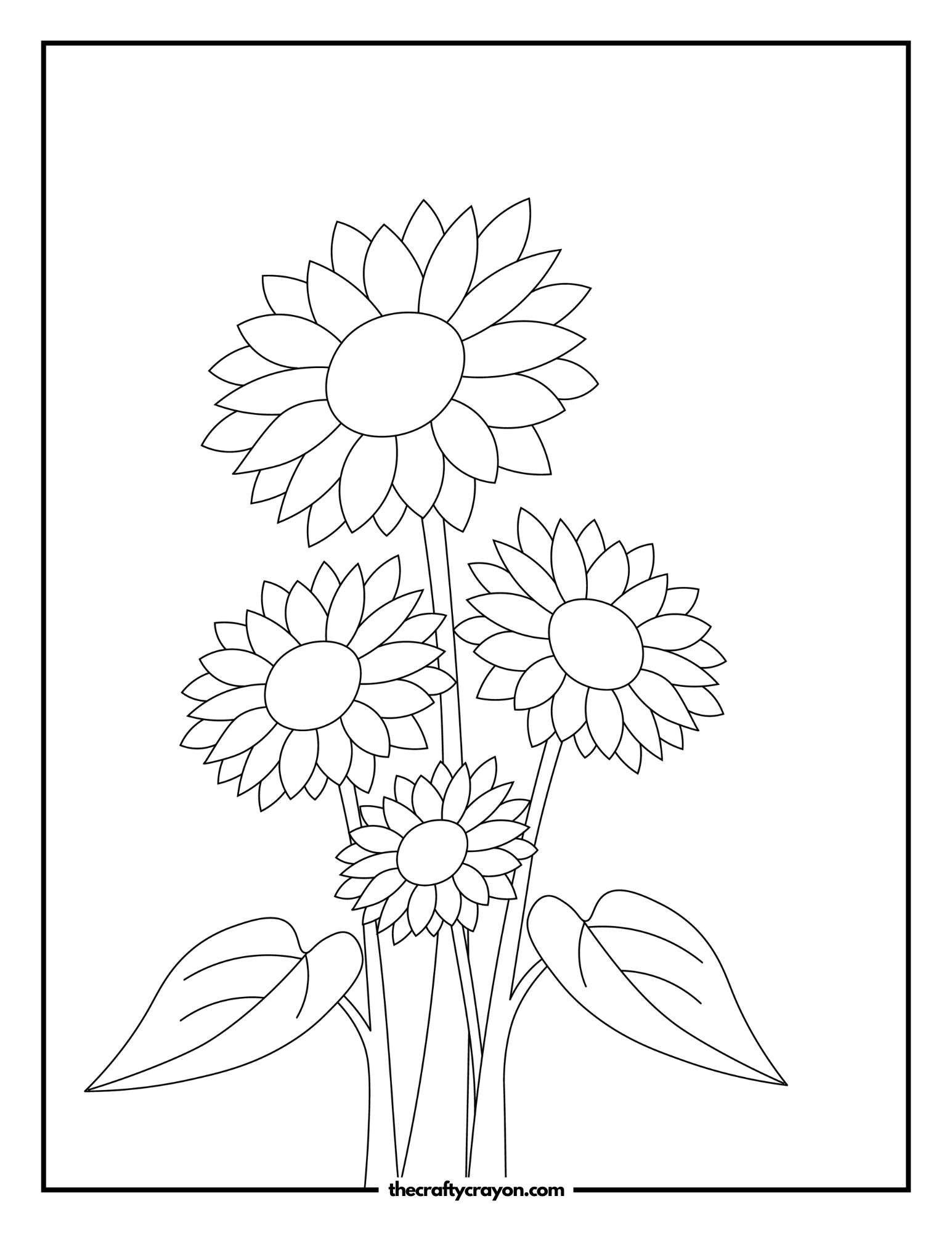 Captivating Sunflower Grouping with Detail