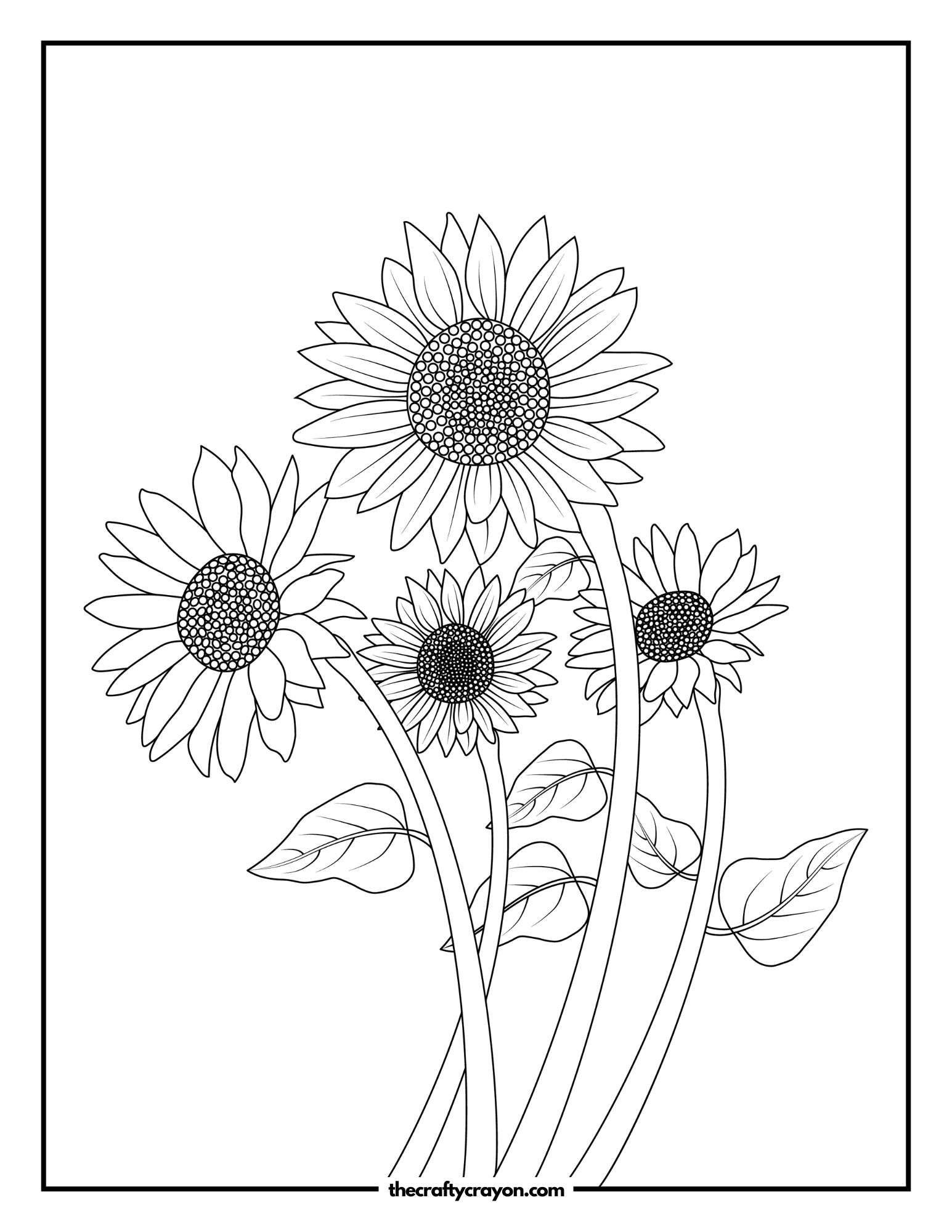 Charming Sunflower Cluster with Leaves