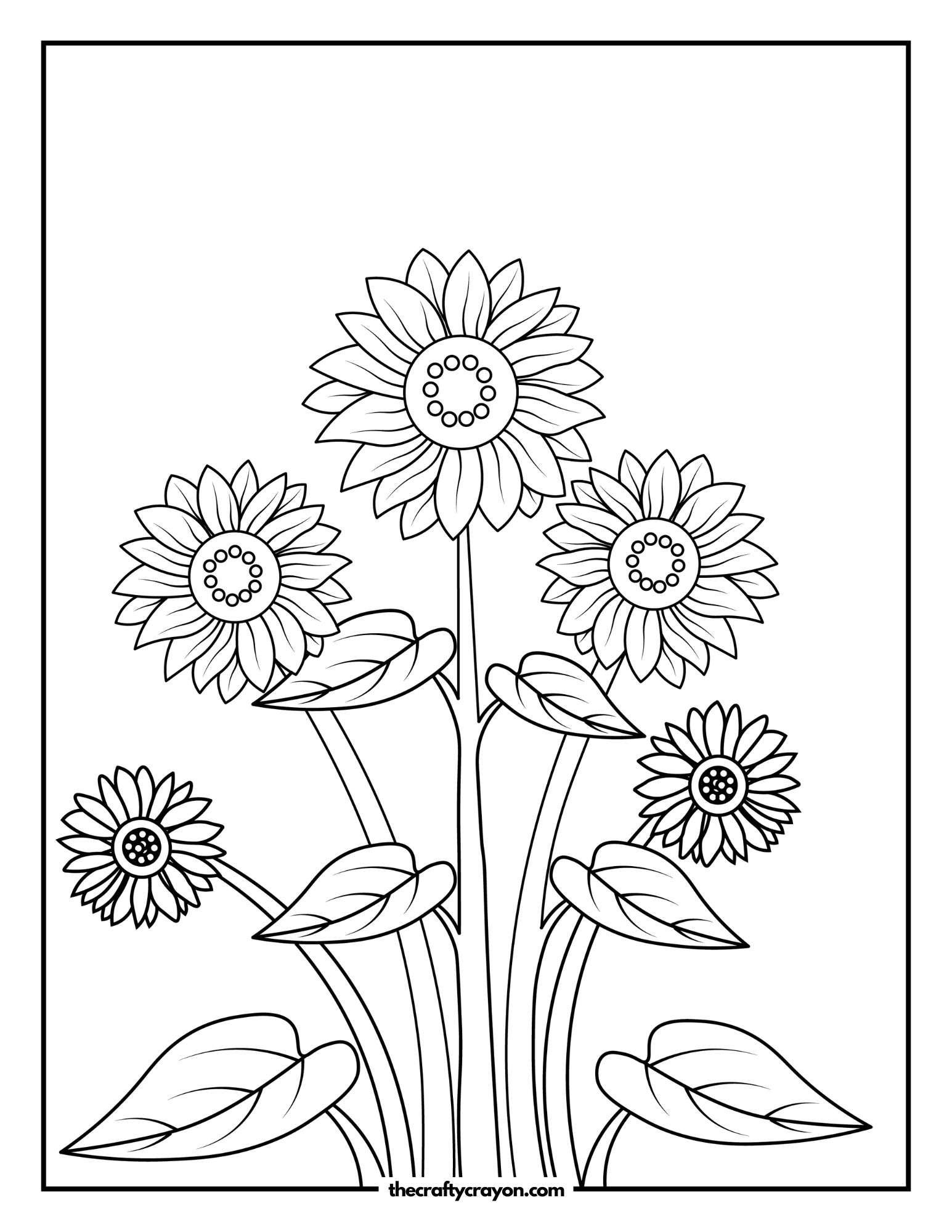 Cheerful Sunflowers in a Vibrant Display